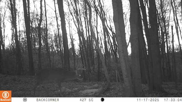 Zion Road Property Photo 5
