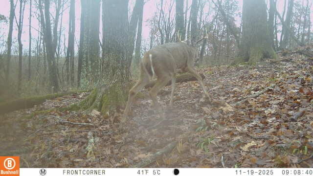 Zion Road Property Photo 6
