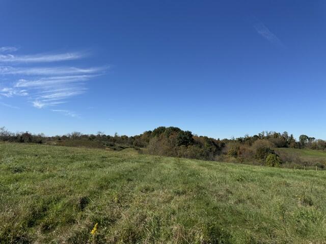 Zion Road Property Photo 9