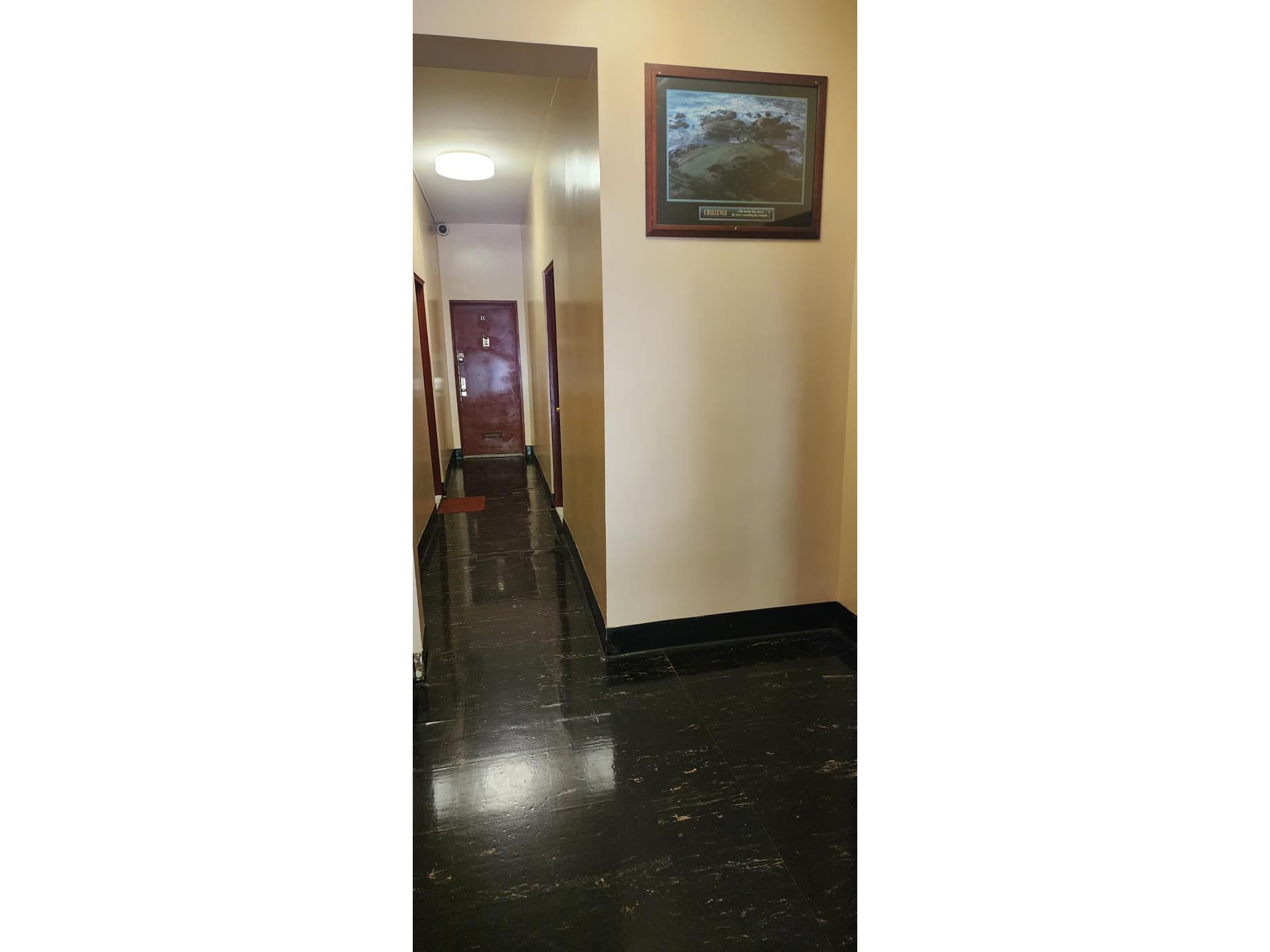 767 Eastern Parkway 1b Property Photo 6