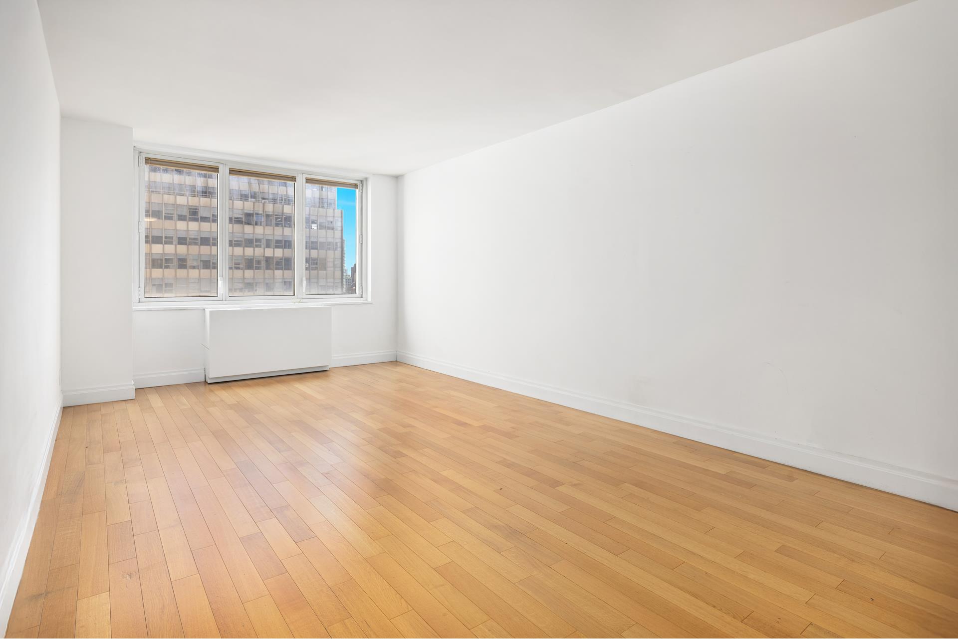 212 E 47th Street 19a Property Photo 8