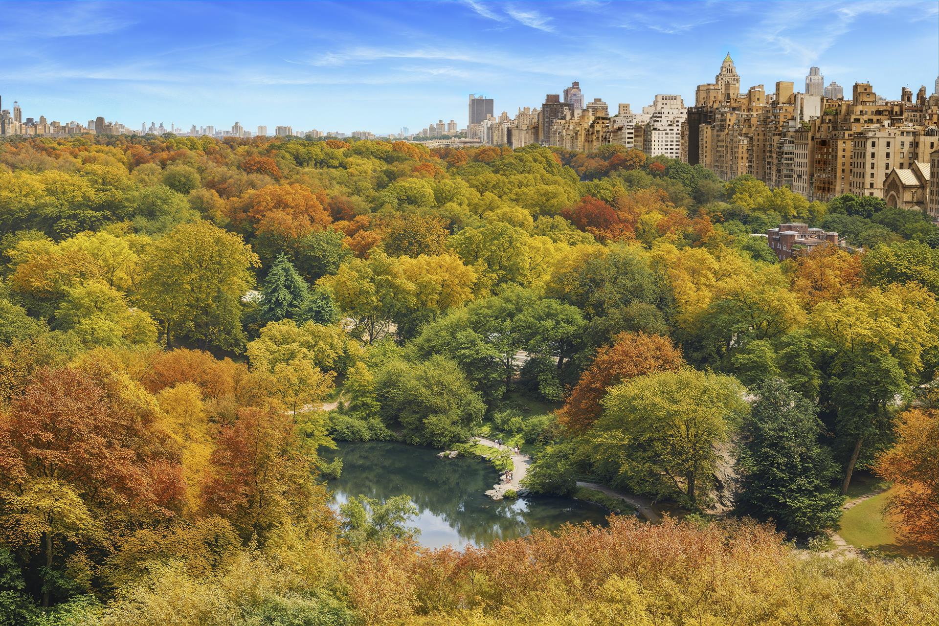 30 Central Park S 15 Property Photo 14