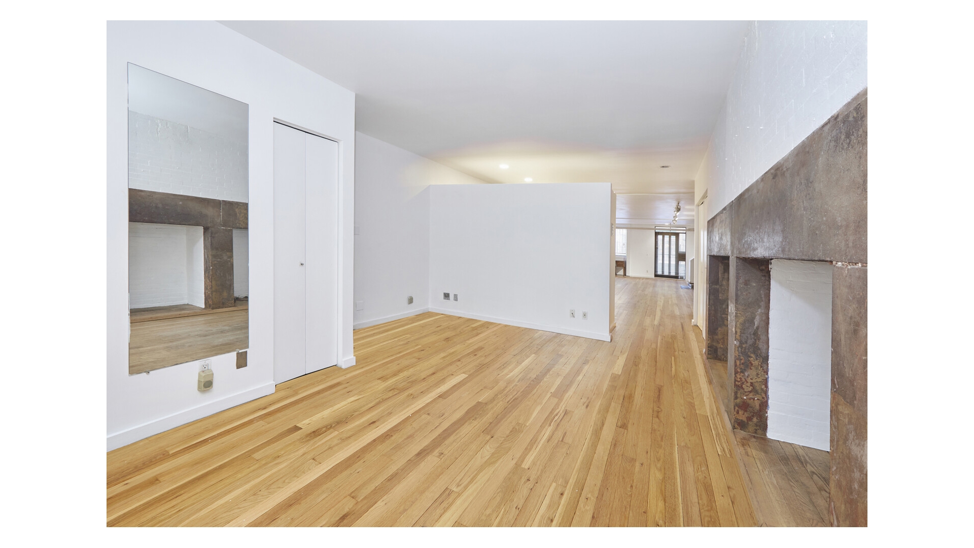 319 W 14th Street Gf Property Photo 3