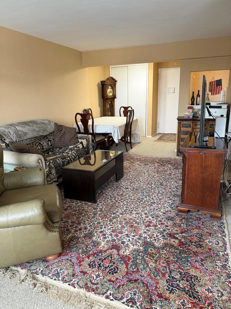 241-20 Northern Boulevard 4-a Property Photo 2