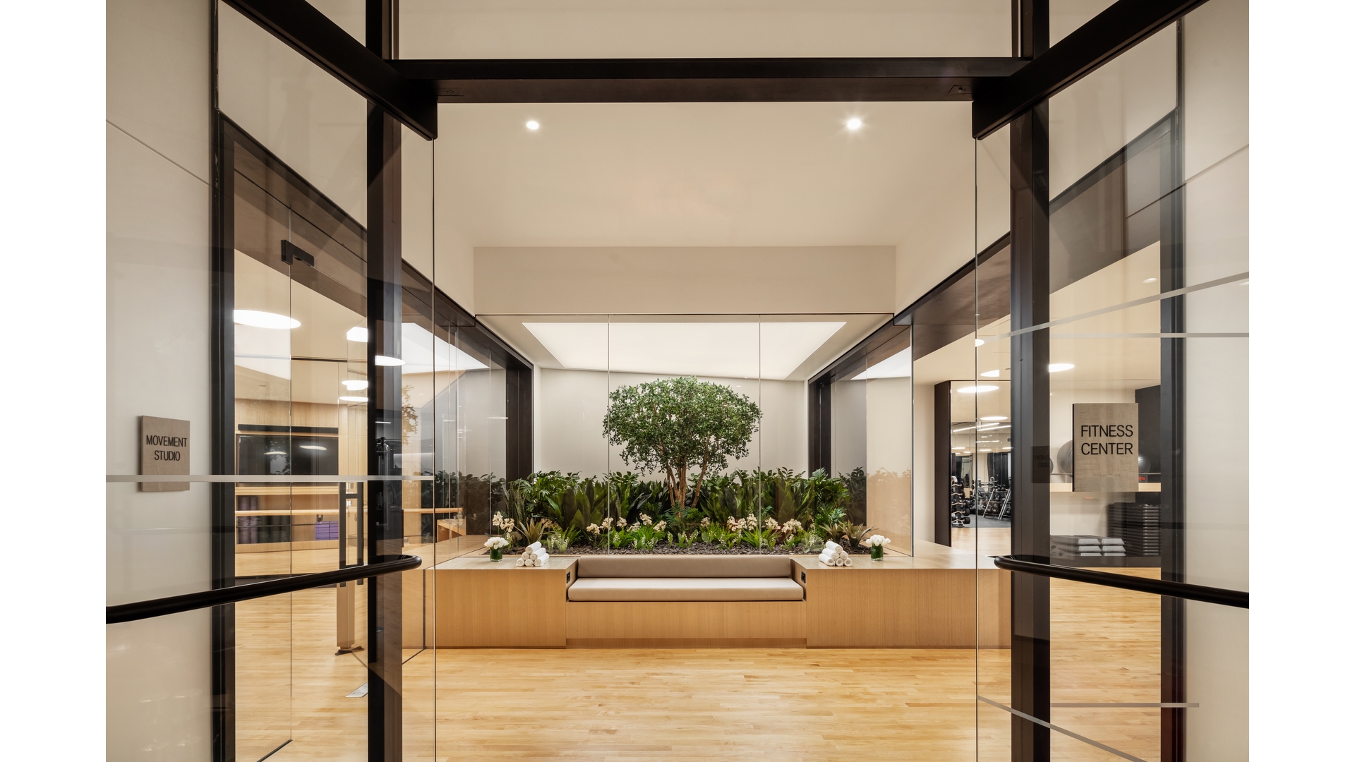 111 Murray Street 38b Property Photo 16