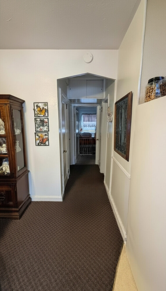 1718 Williamsbridge Road Property Photo 9