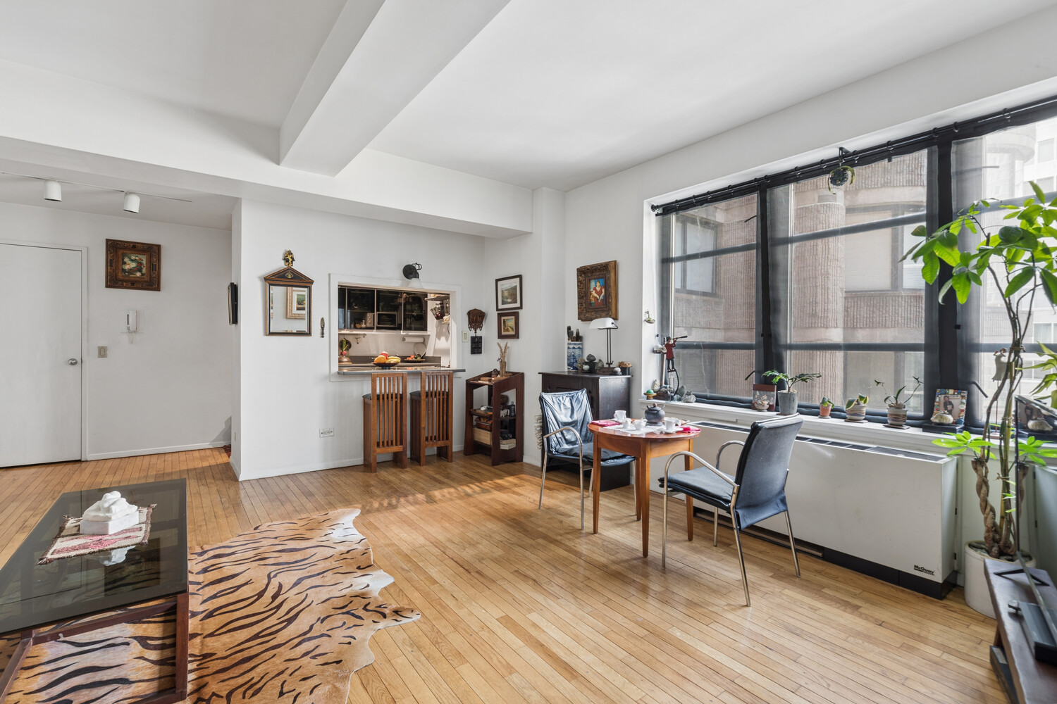 43 W 61st Street 16h Property Photo 2