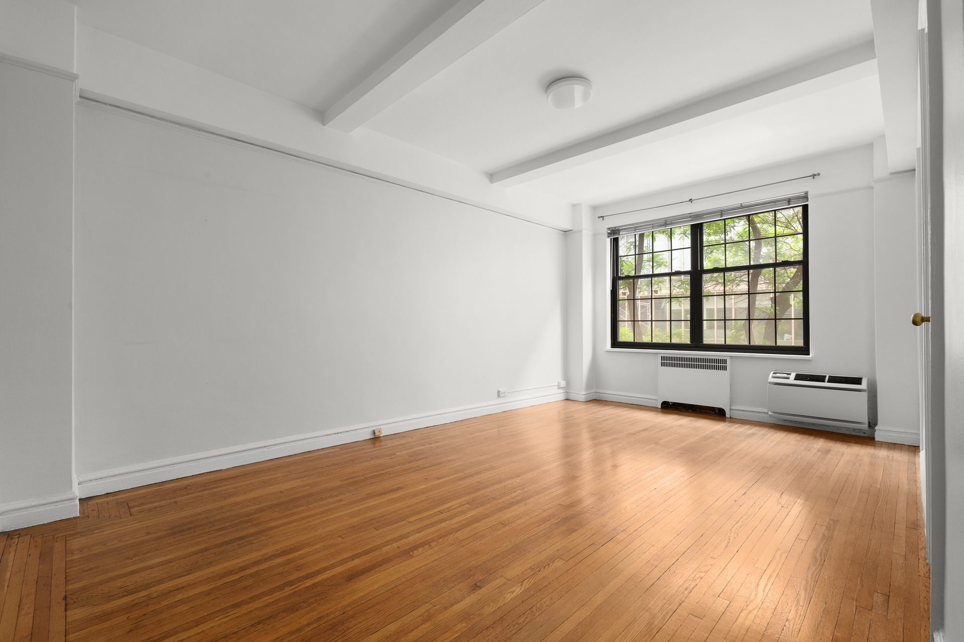 17 W 67th Street 3b Property Photo 3