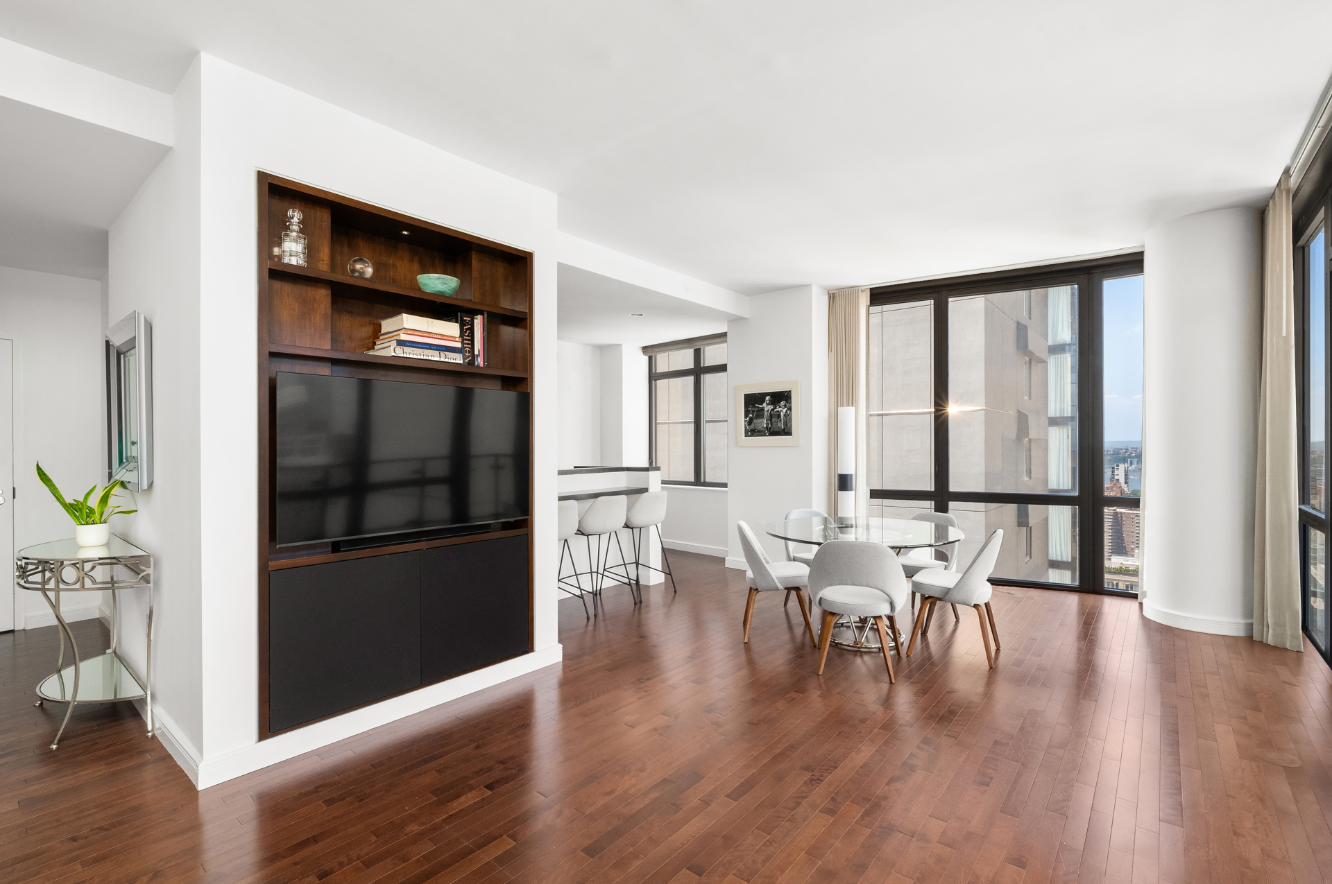 101 W 24th Street 36a Property Photo 4