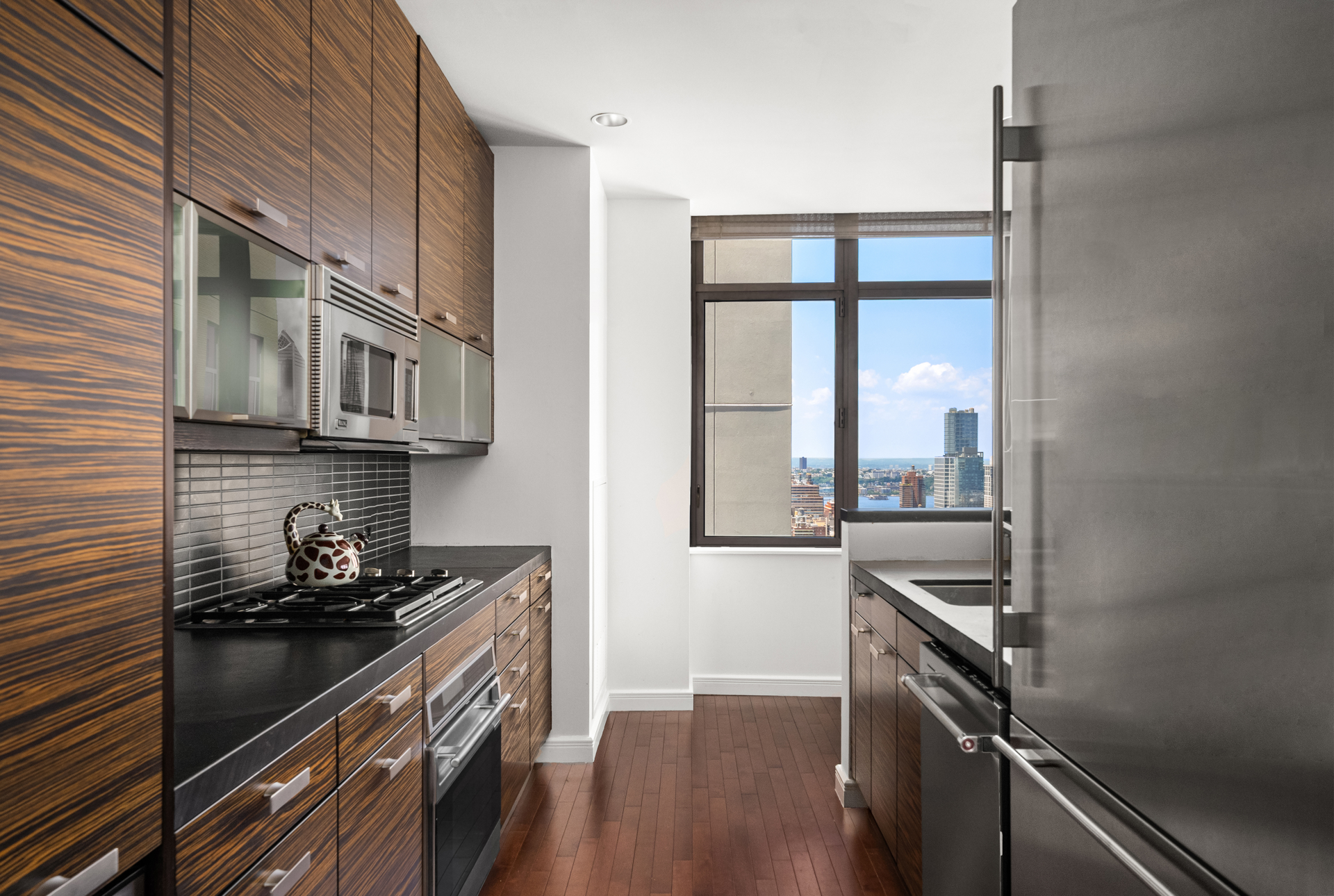 101 W 24th Street 36a Property Photo 6