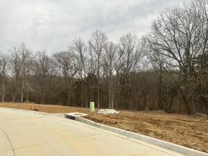 212 Boone Point Subdivision Property Photo 1