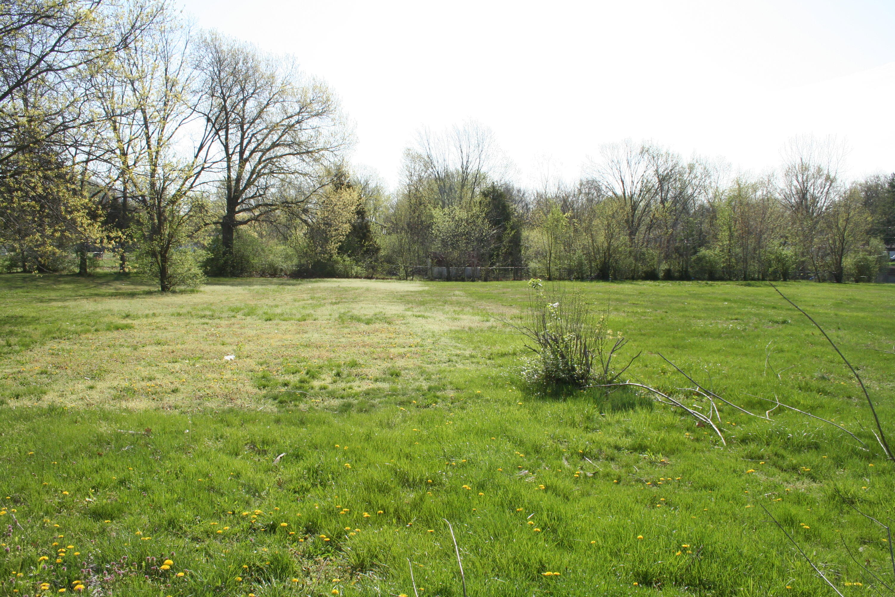 1312 N Lake Of The Wood Property Photo 3