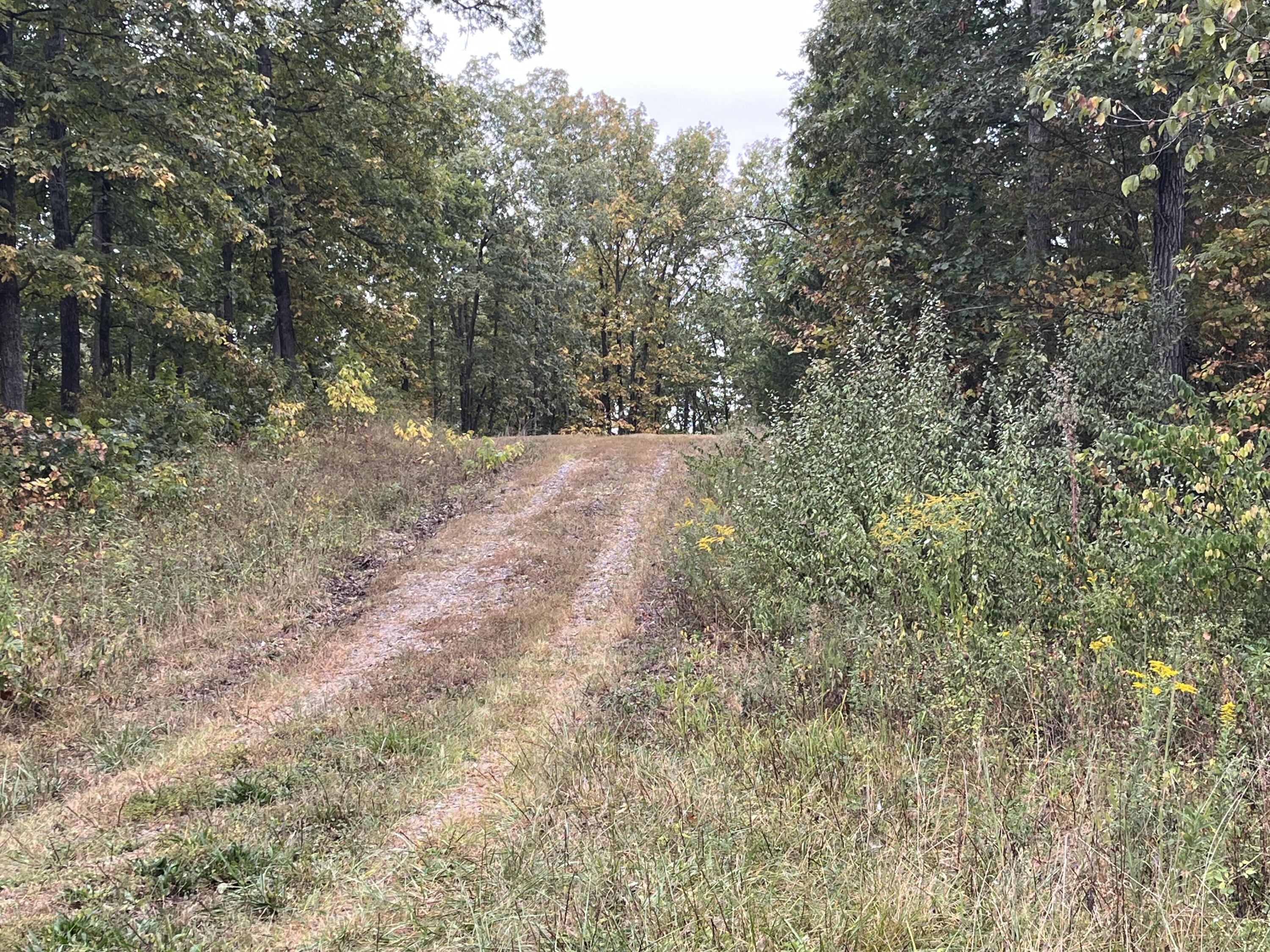 N Timberlakes Cir Property Photo 9
