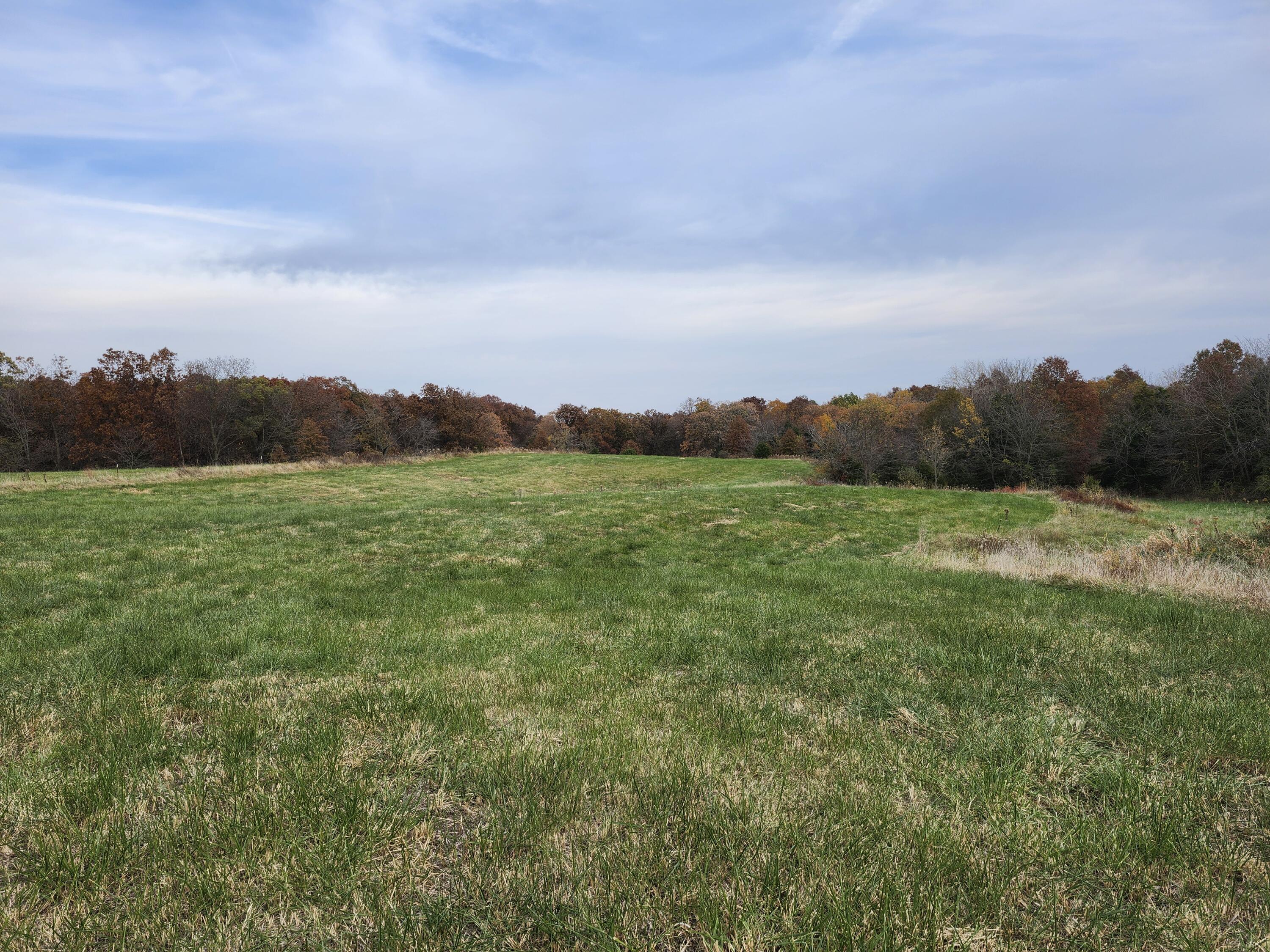 1699 Pr 1272 Property Photo 16