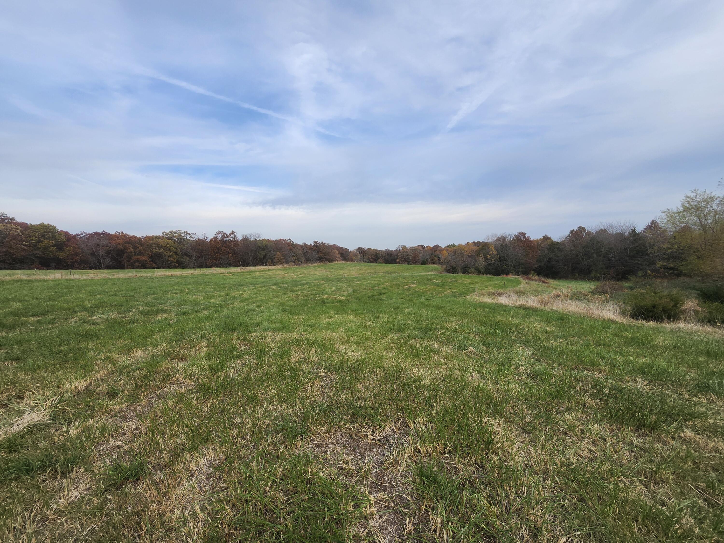1699 Pr 1272 Property Photo 18