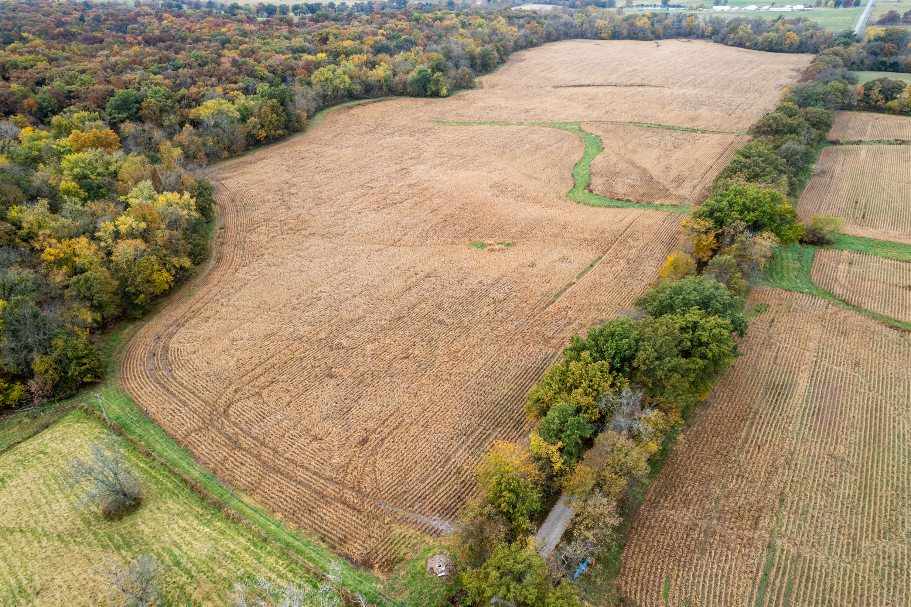 81.51 Acres E Sugar Grove Rd Property Photo