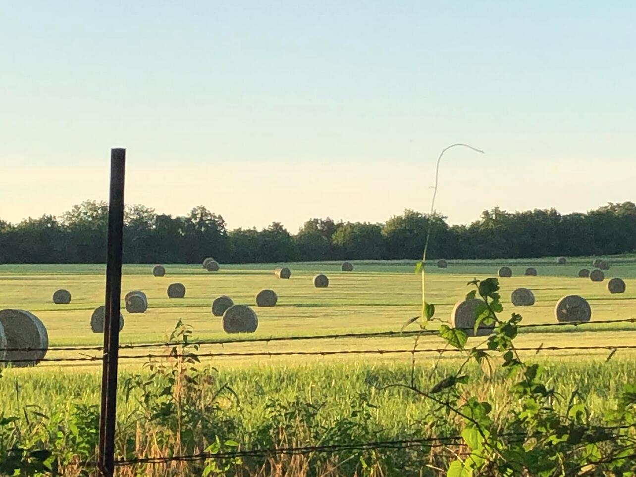 52 Acres M/l E Sugar Grove Rd Property Photo