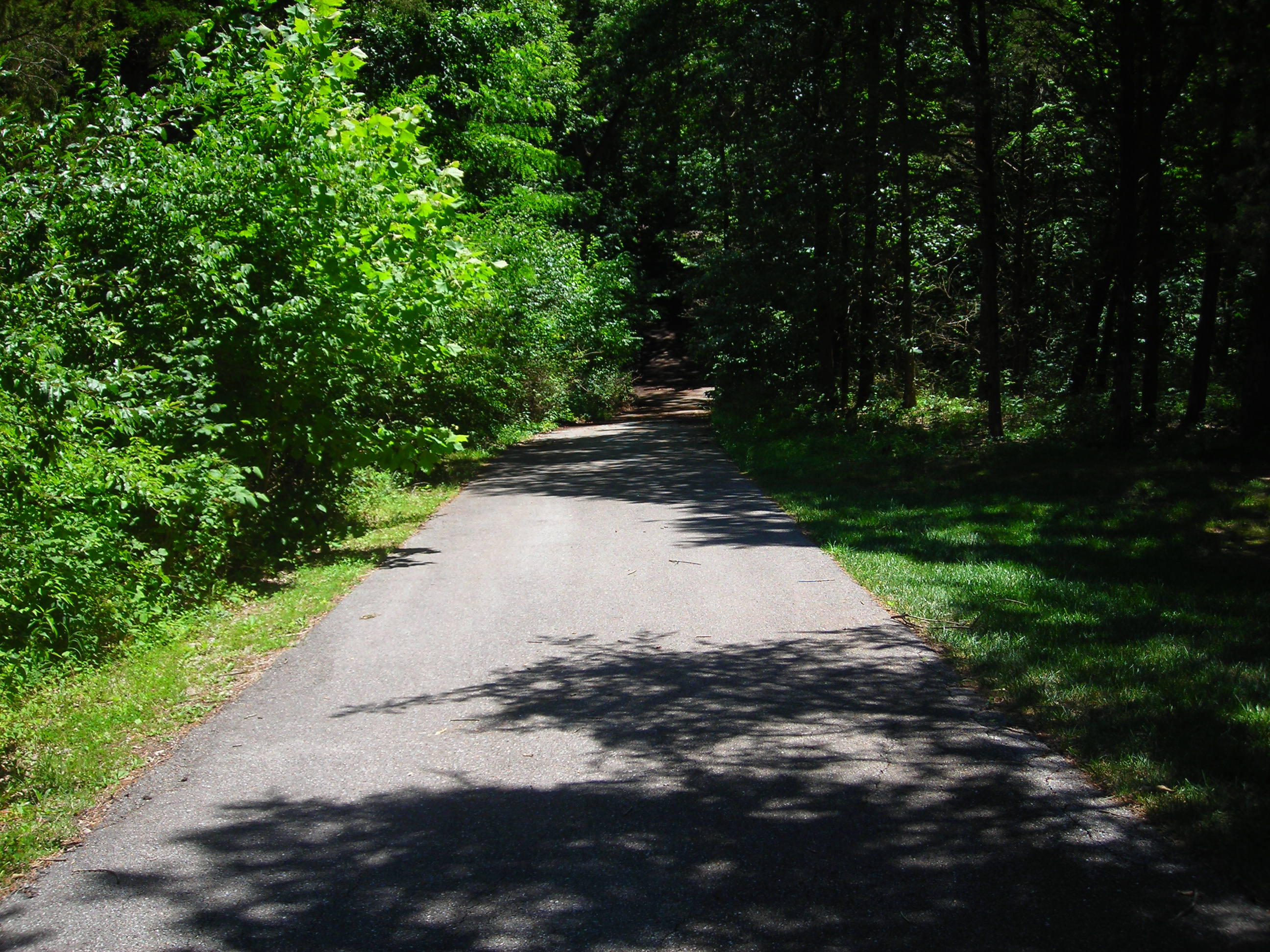 S Old Mill Creek Rd Property Photo 1