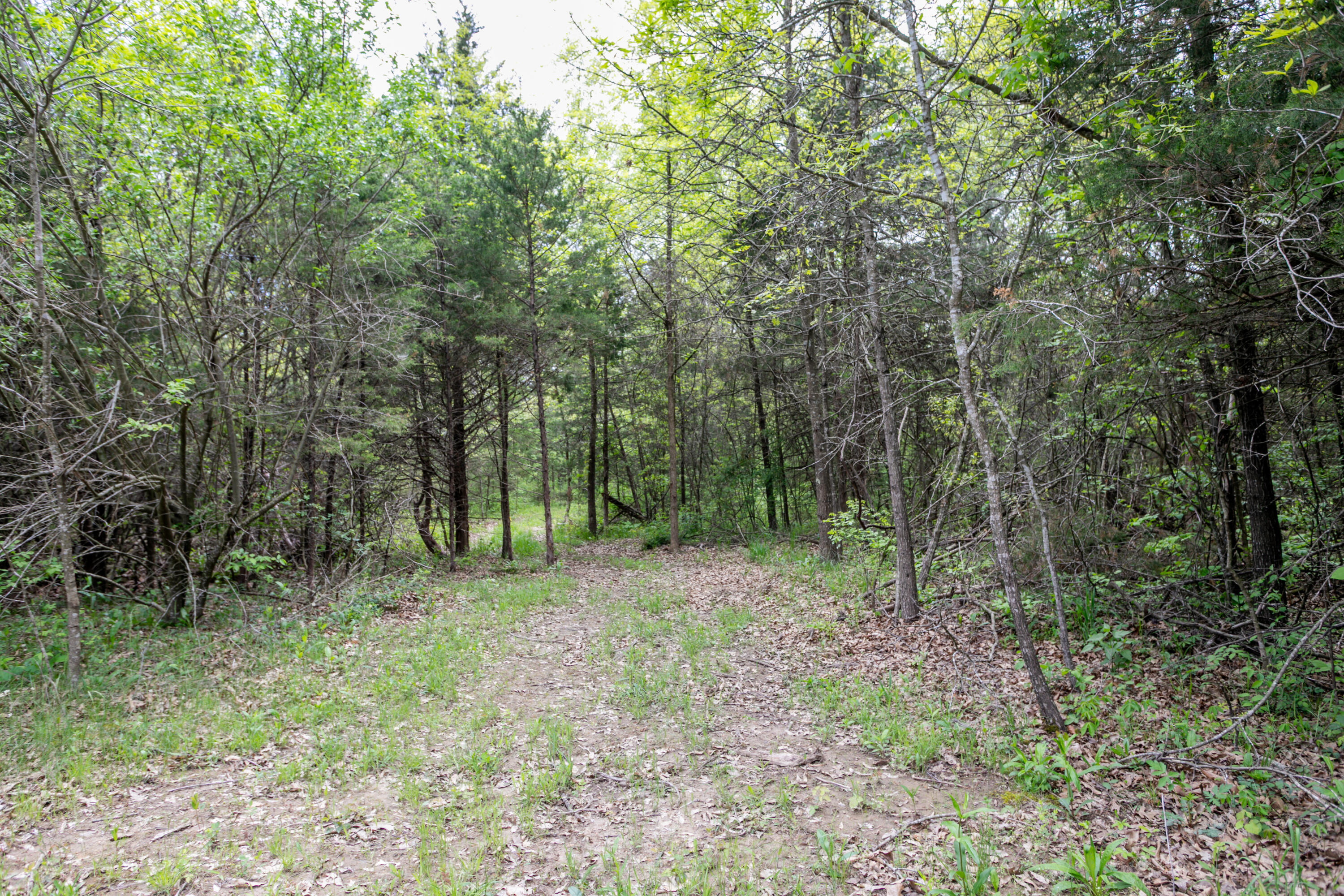 6100 W Hwy 124 Property Photo 34