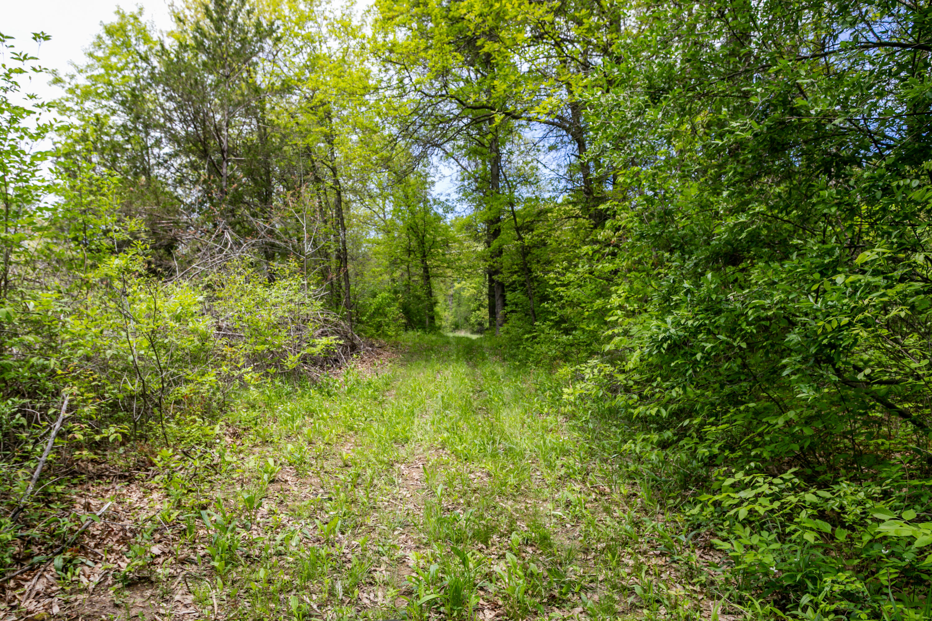 6100 W Hwy 124 Property Photo 37