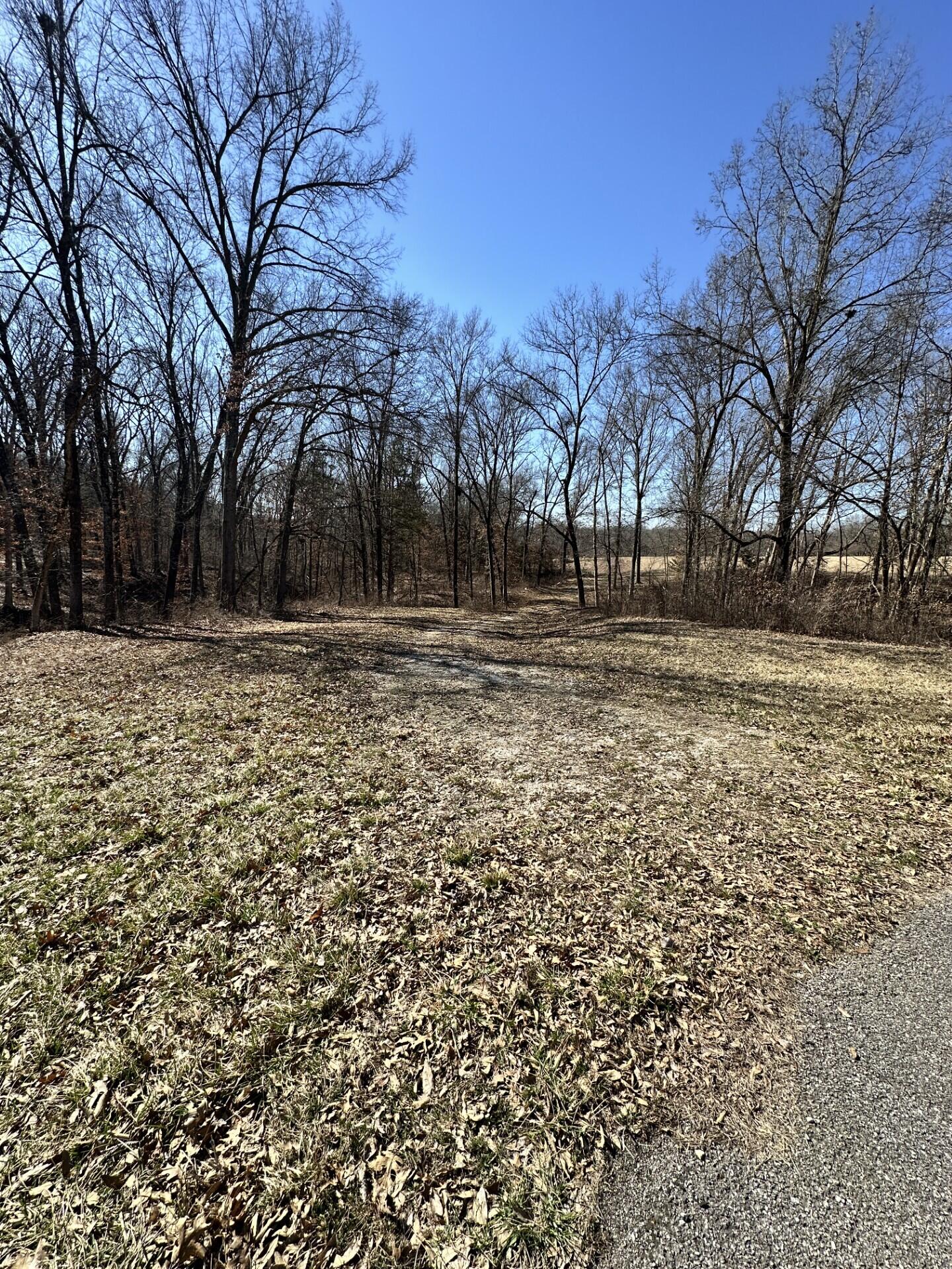 Tract 5a Hwy Uu Property Photo
