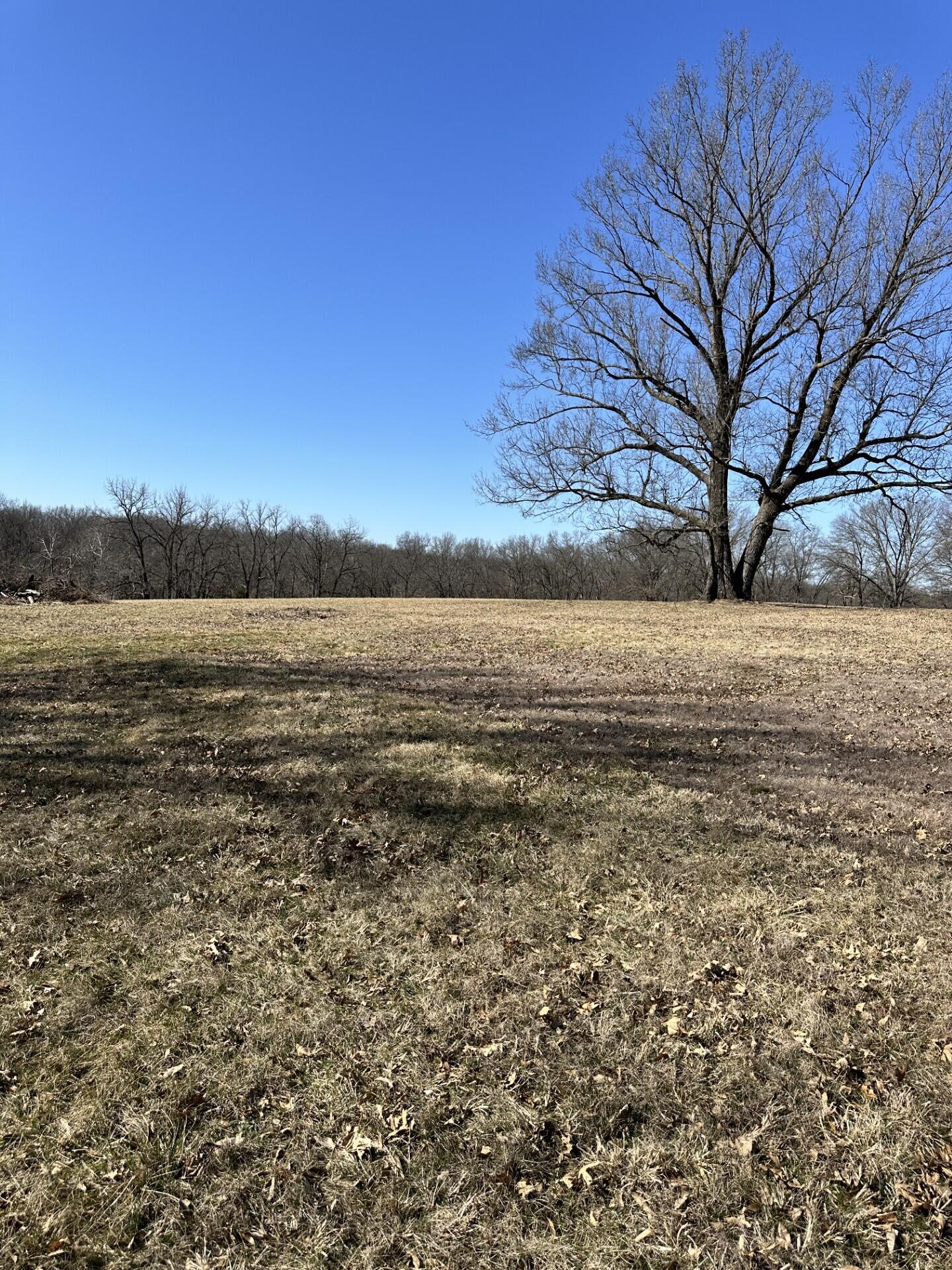 Tract 5a Hwy Uu Property Photo 2
