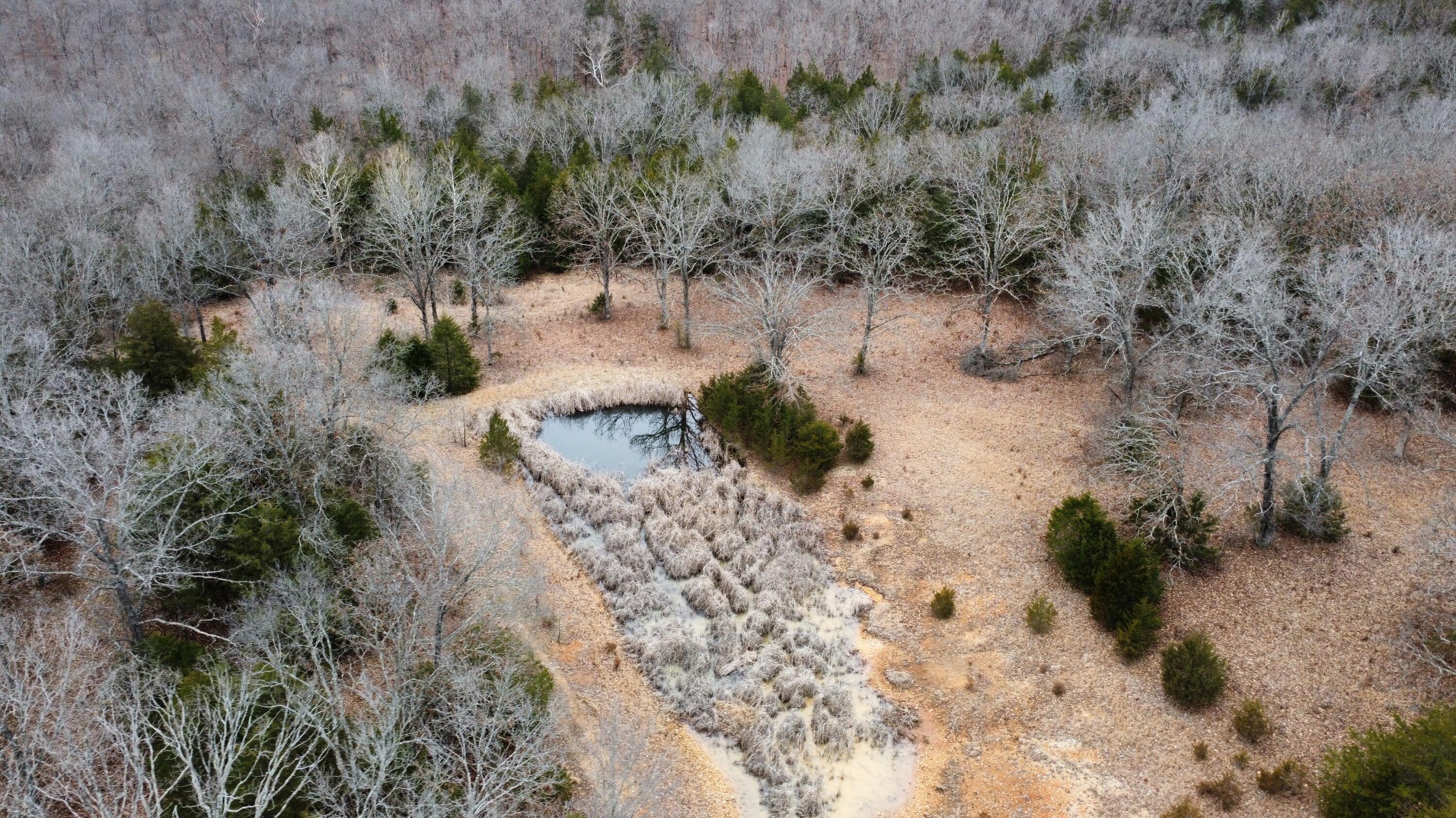 99.5 Acres County Road 40 Property Photo 5