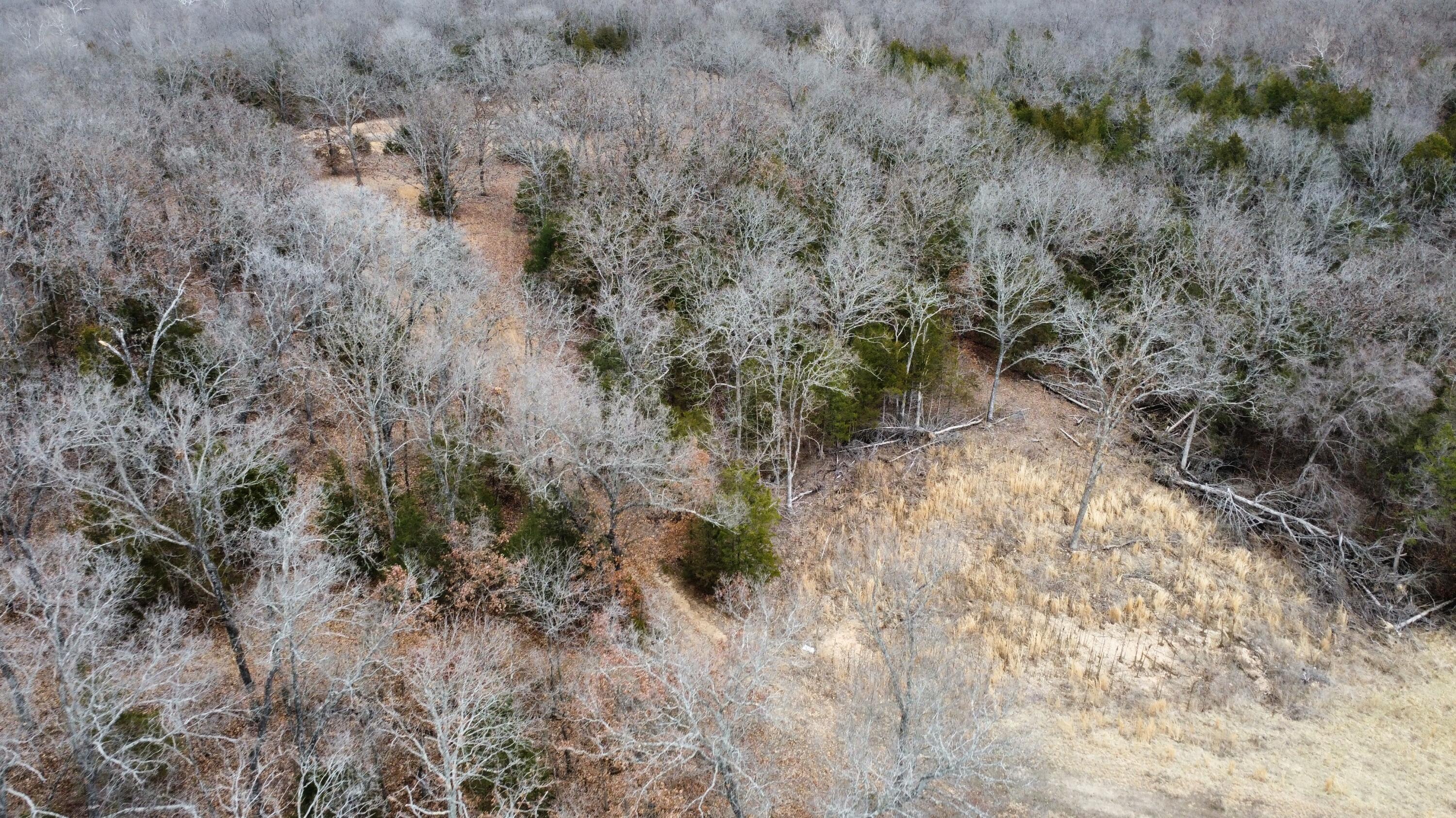 99.5 Acres County Road 40 Property Photo 7