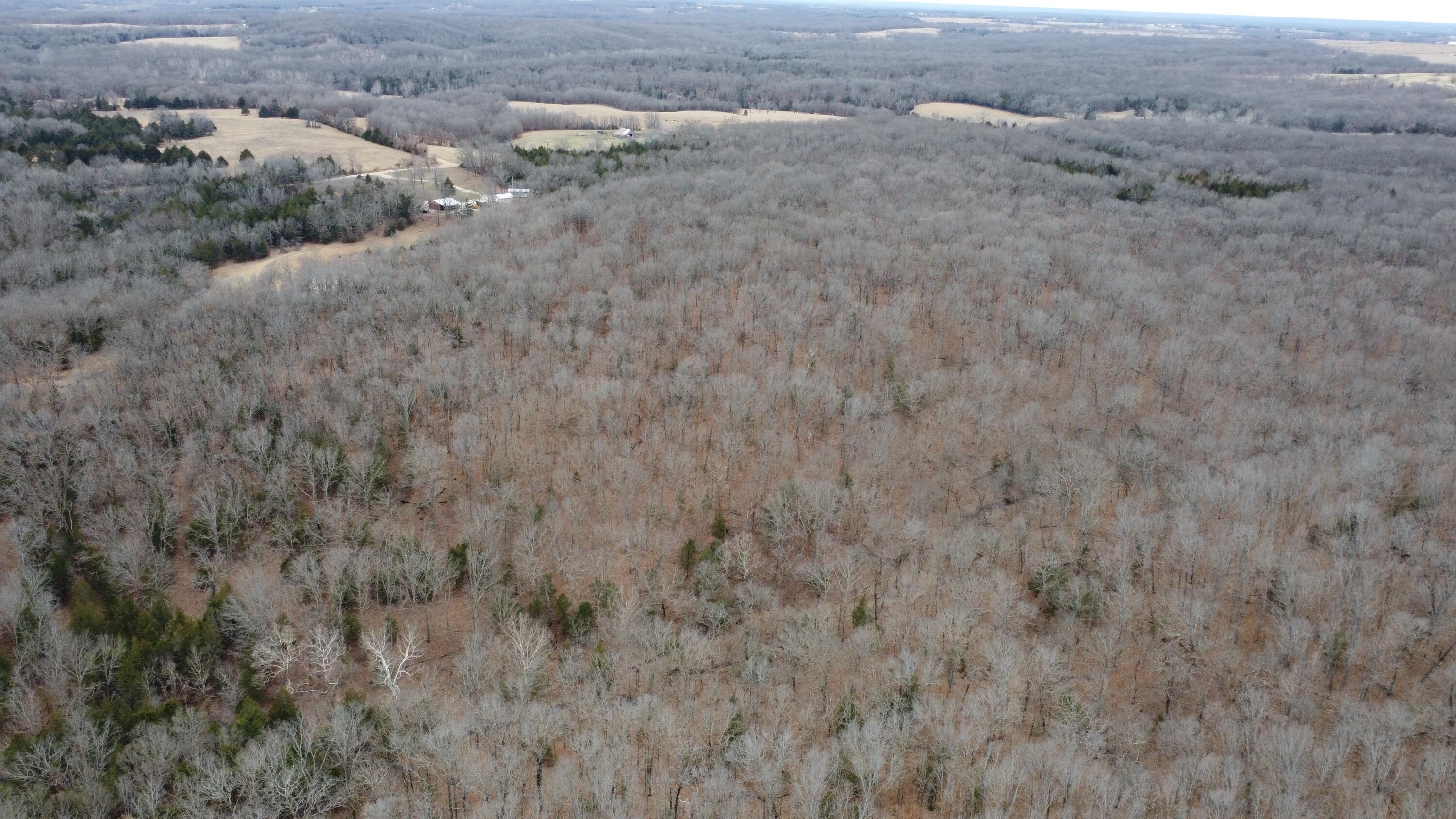 99.5 Acres County Road 40 Property Photo 10