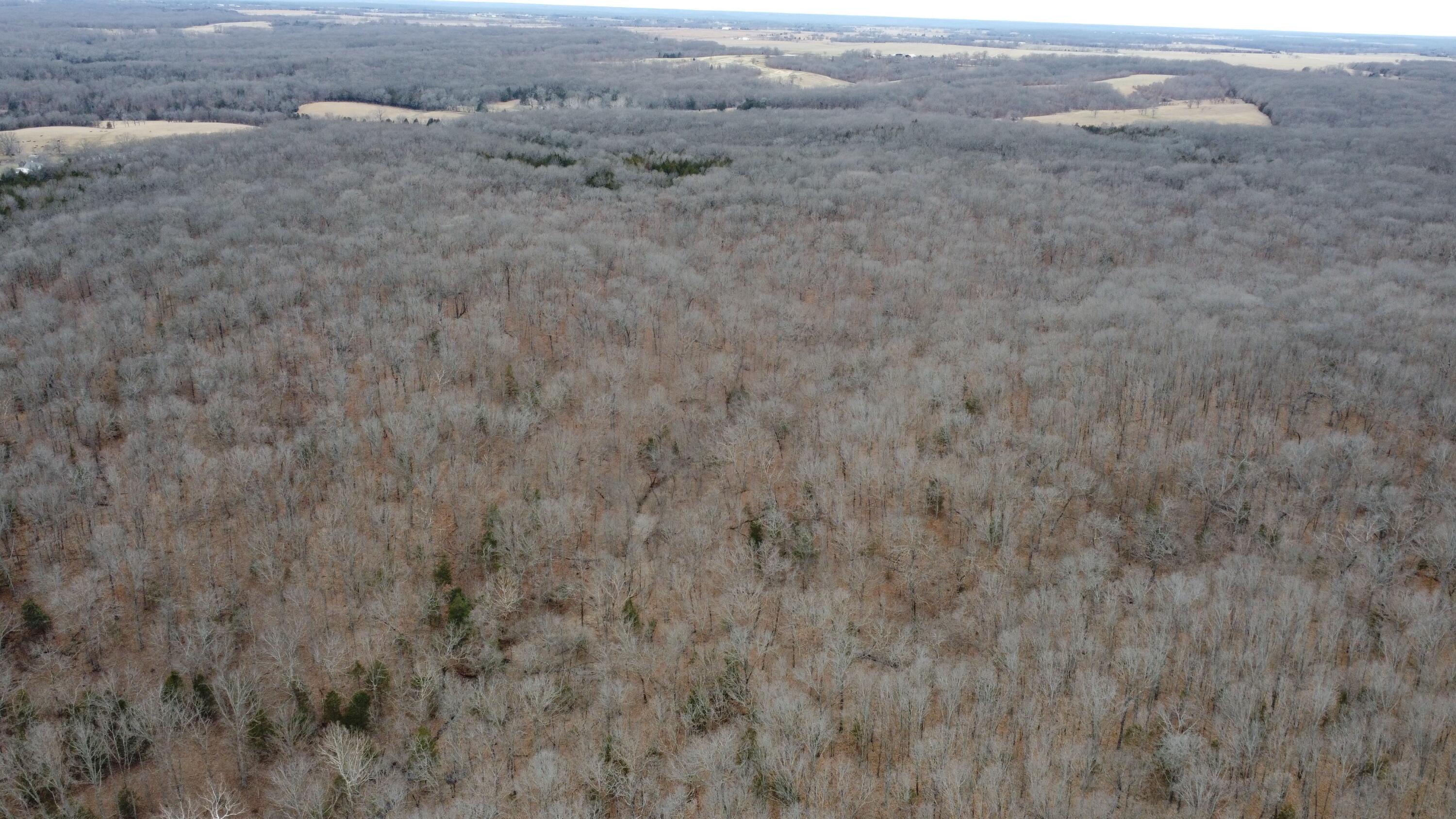 99.5 Acres County Road 40 Property Photo 12