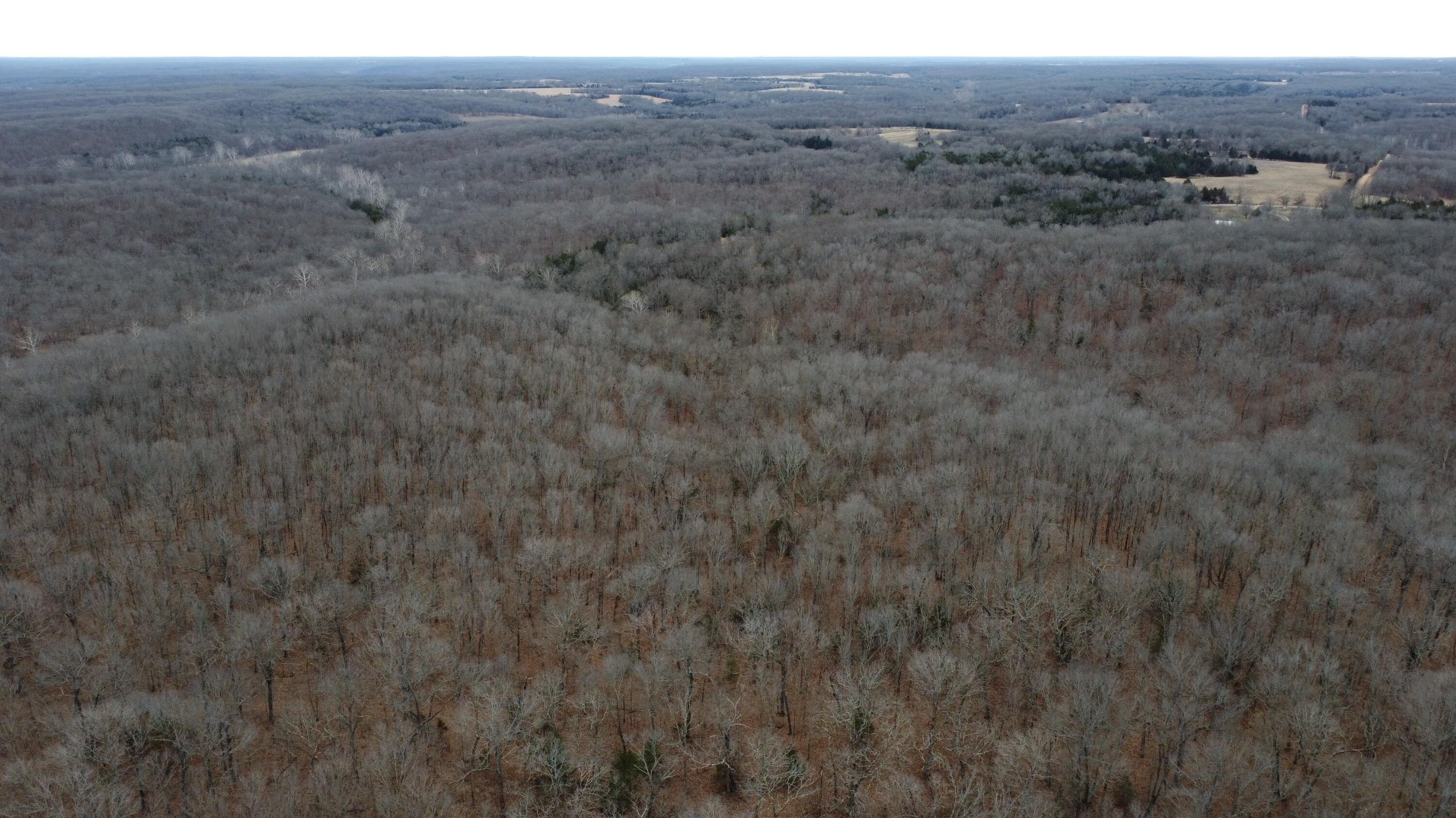 99.5 Acres County Road 40 Property Photo 15
