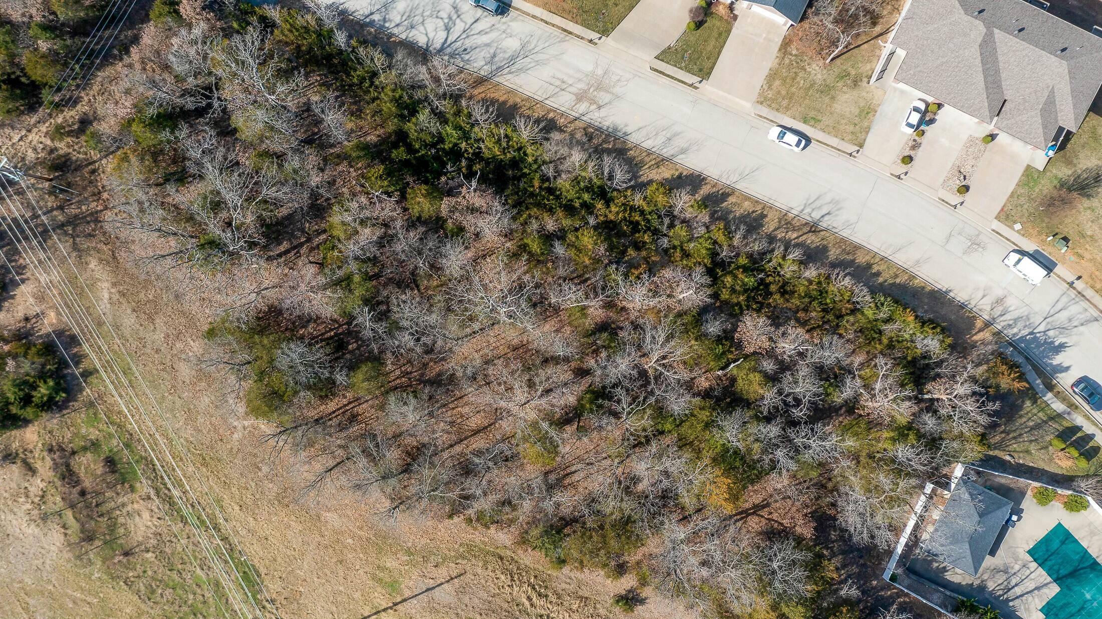 1625 Notting Hill Dr Property Photo 6