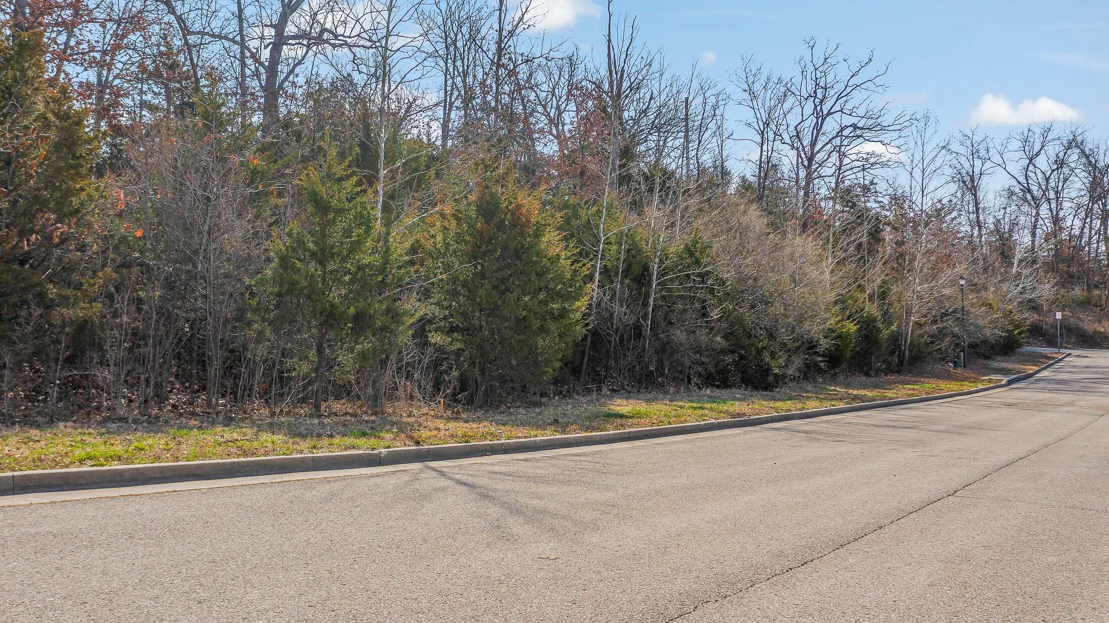 1625 Notting Hill Dr Property Photo 9