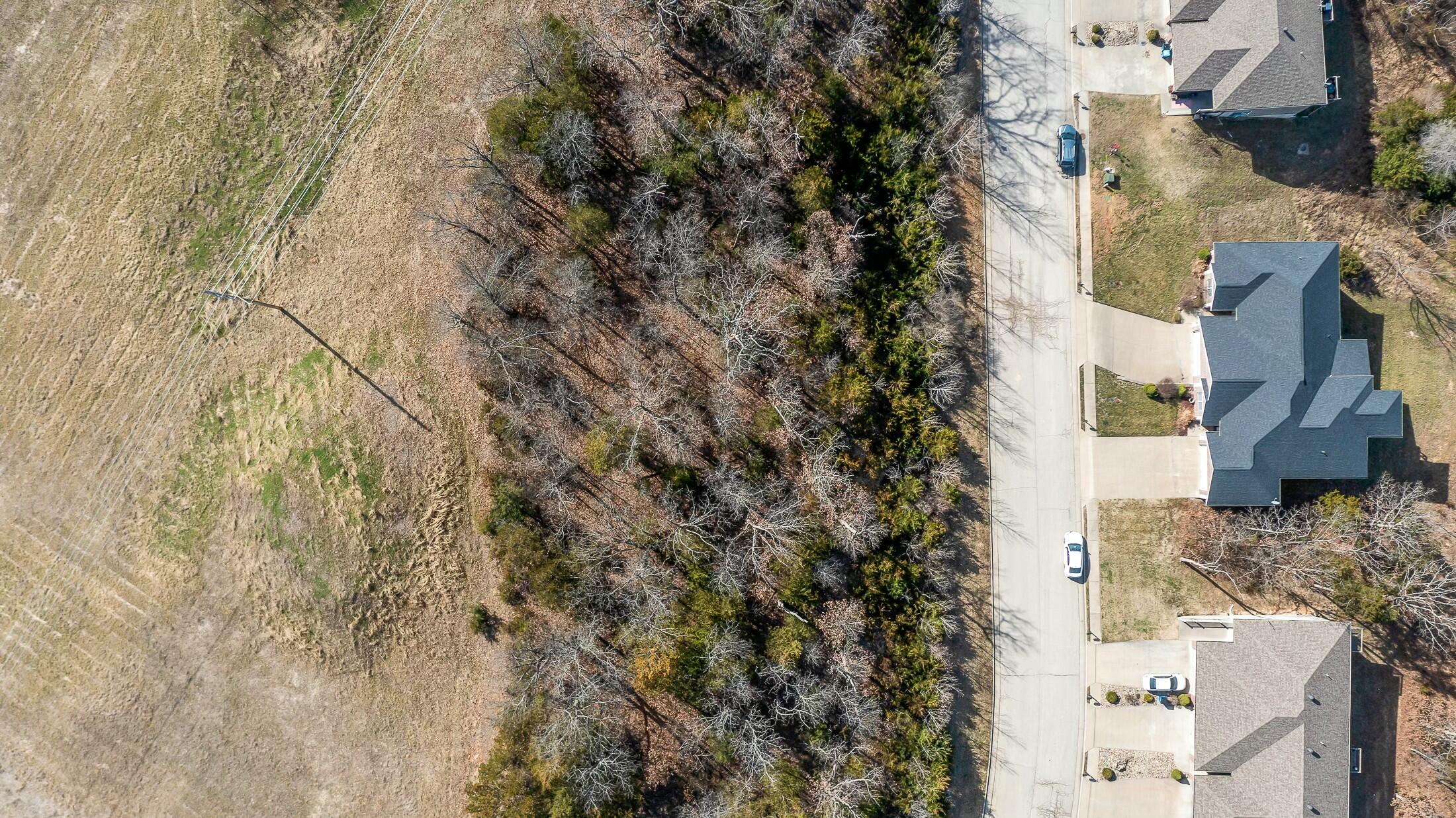 1617 Notting Hill Dr Property Photo 4