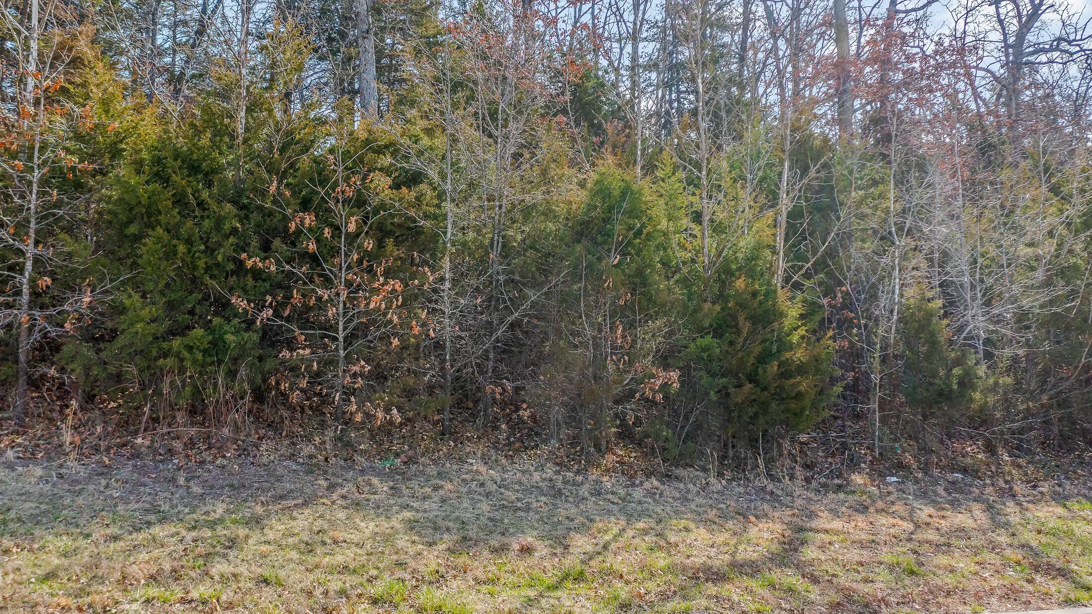 1617 Notting Hill Dr Property Photo 8