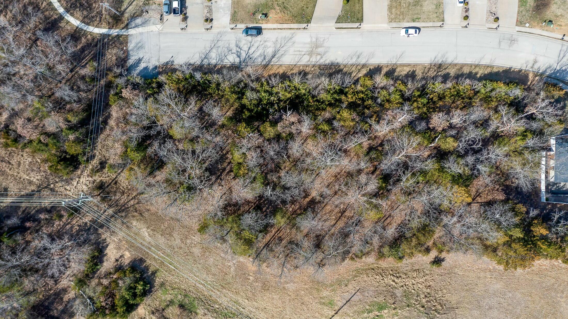 1617 Notting Hill Dr Property Photo 12