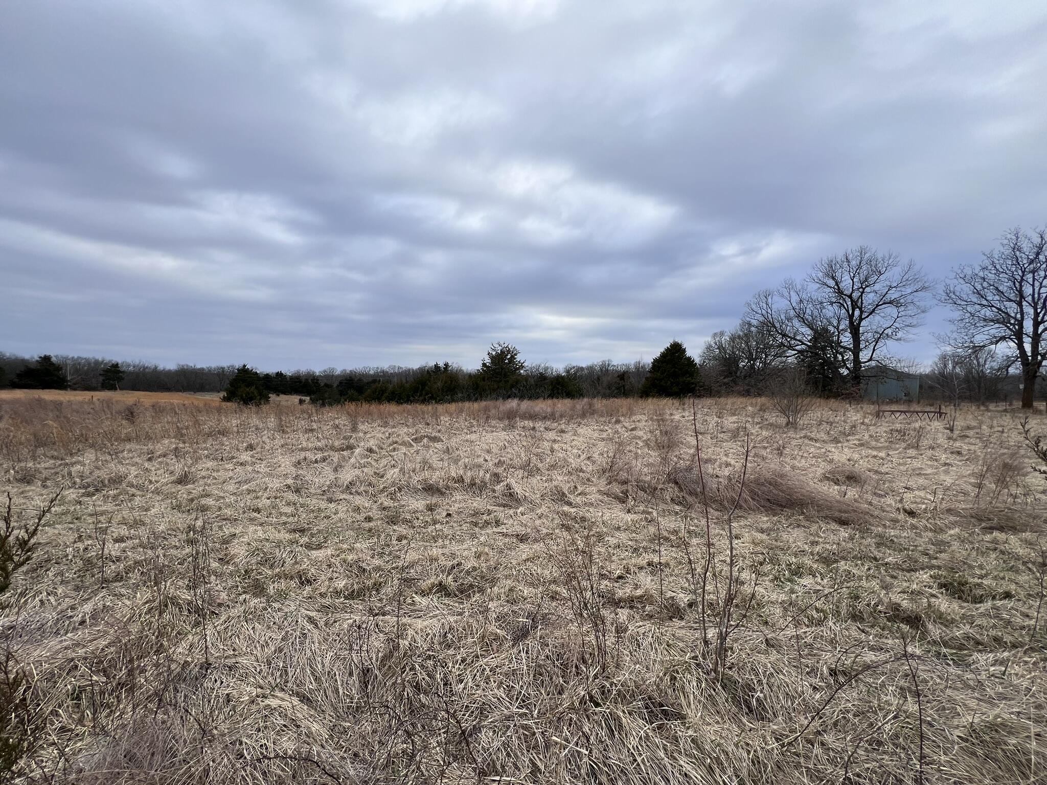 5539 Sillivan Dr Property Photo 3