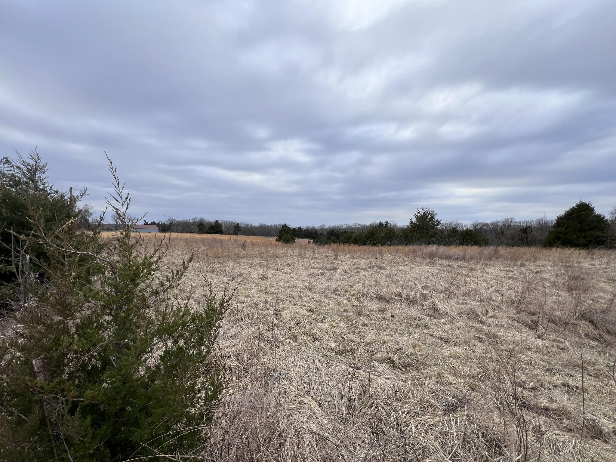 5539 Sillivan Dr Property Photo 4