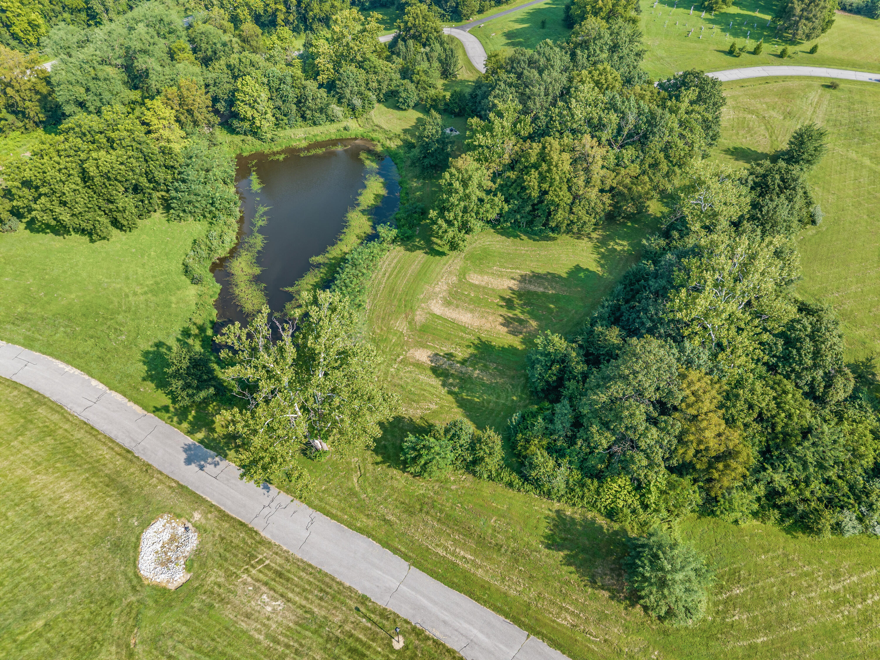1150 E Uu (lot 4a) Property Photo 13