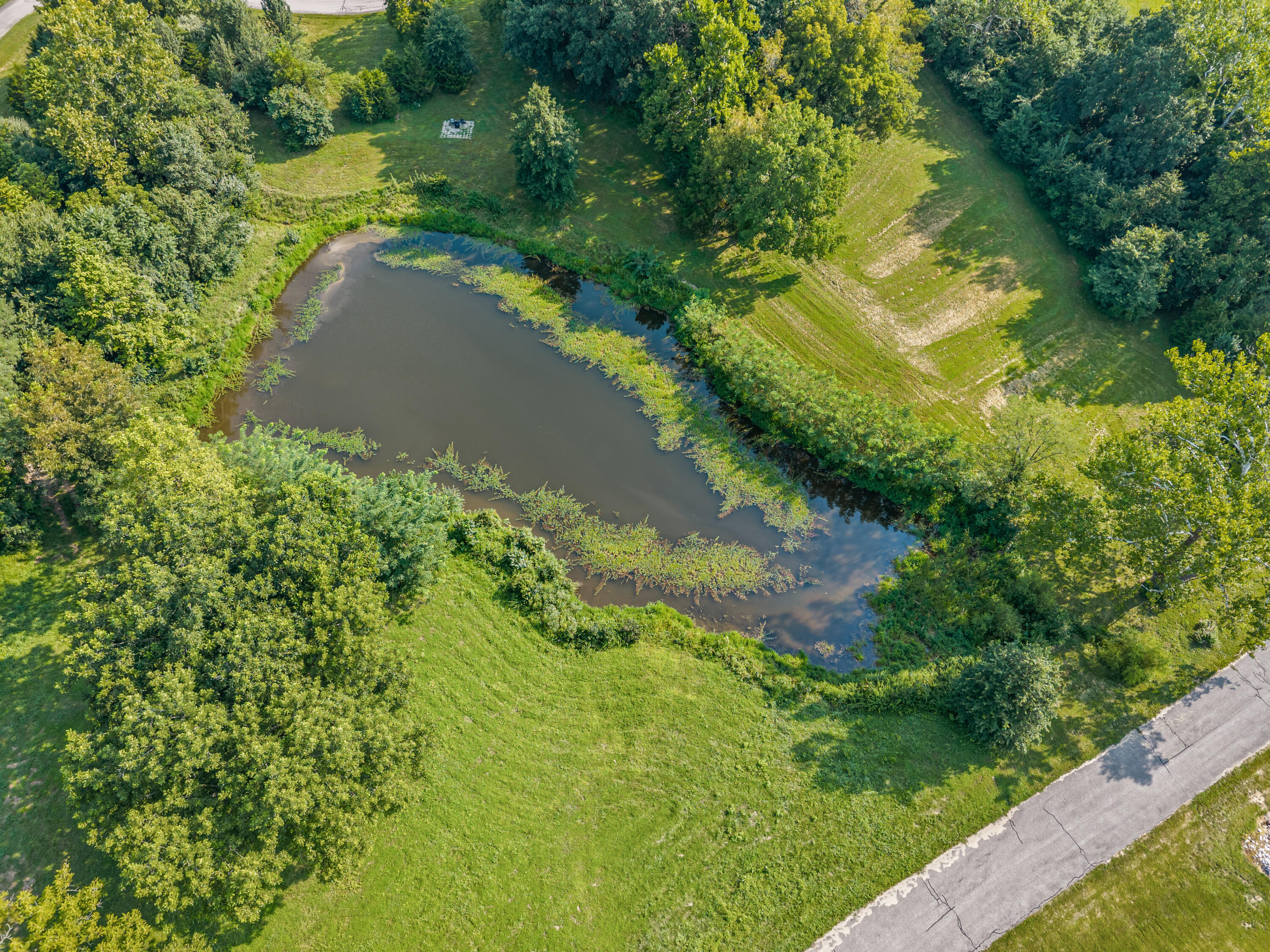 1150 E Uu (lot 4a) Property Photo 14