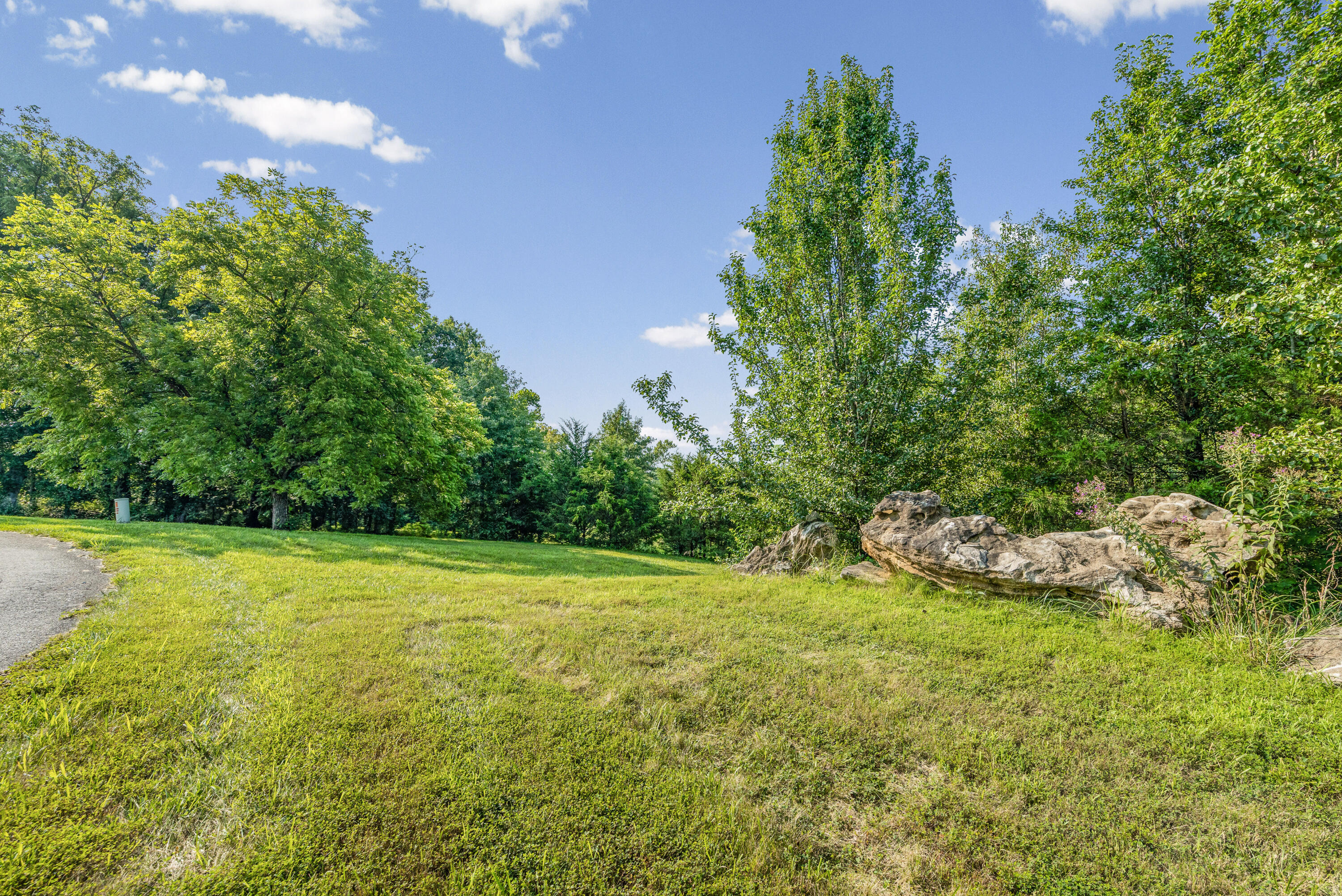 1150 E Uu (lot 4a) Property Photo 19