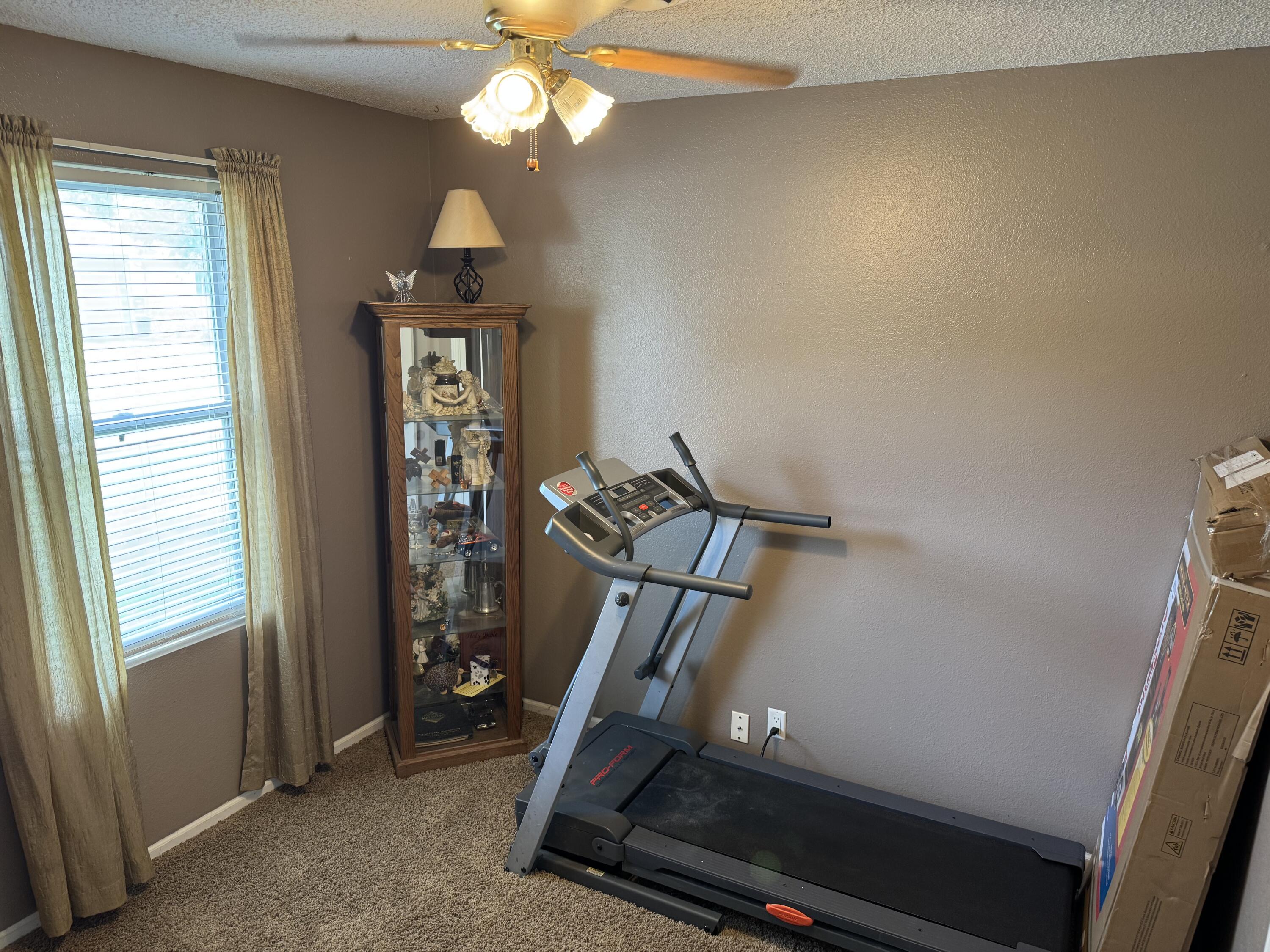 707 S Green Property Photo 8
