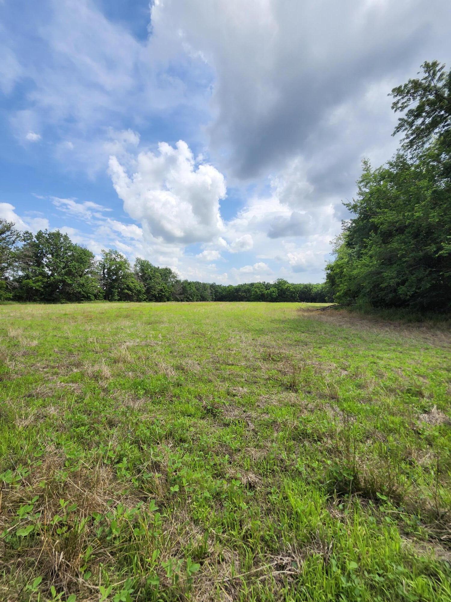Tract 1 E Mchatton Rd Property Photo 2