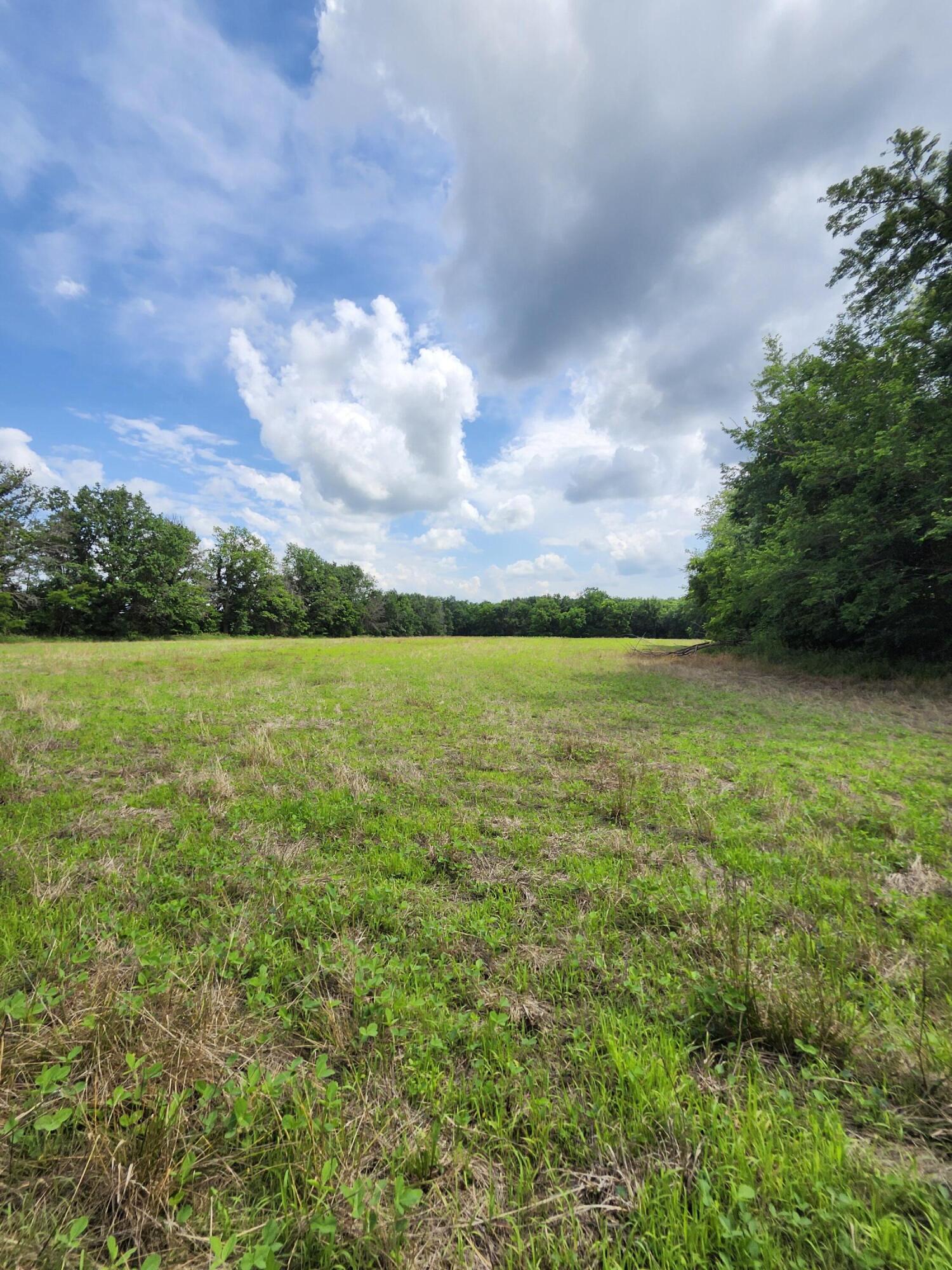 Tract 3 E Mchatton Rd Property Photo 2
