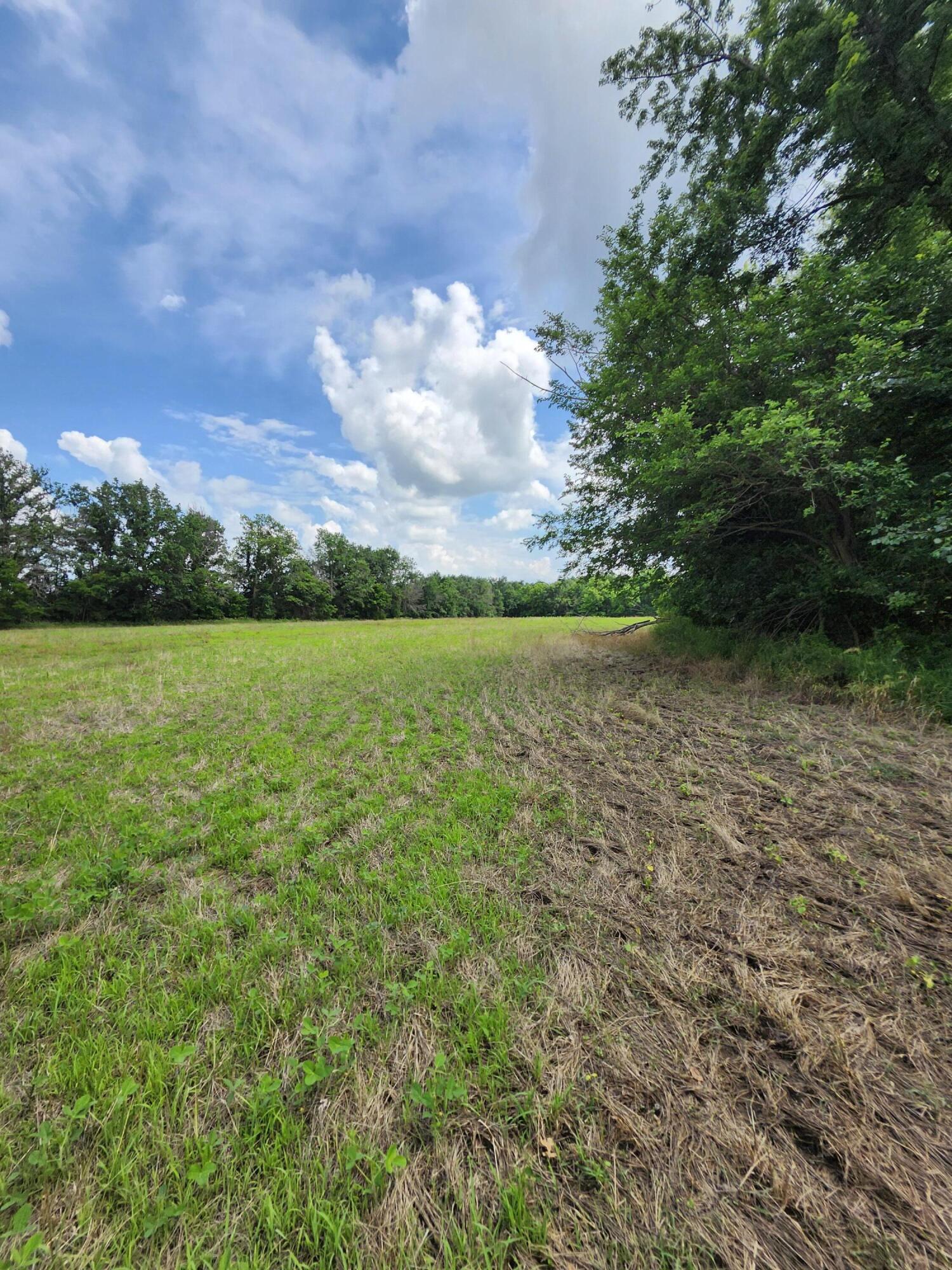 Tract 3 E Mchatton Rd Property Photo 5