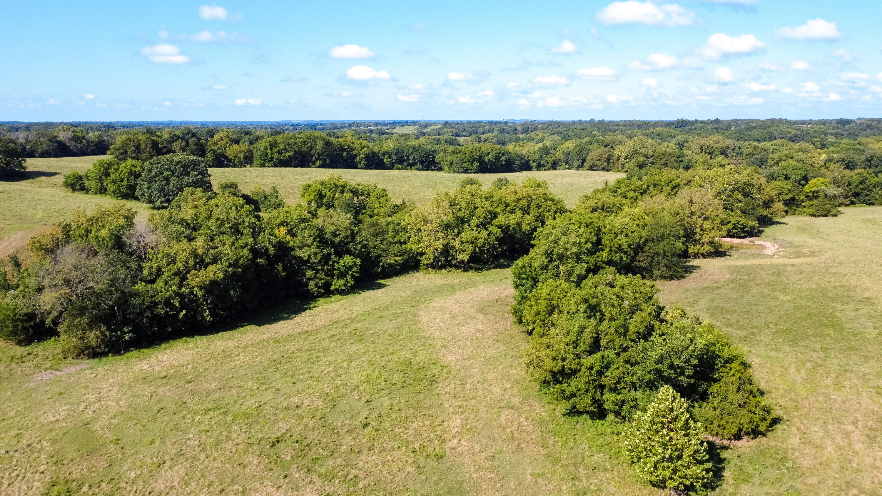 9950 N Herman Nichols Property Photo 34