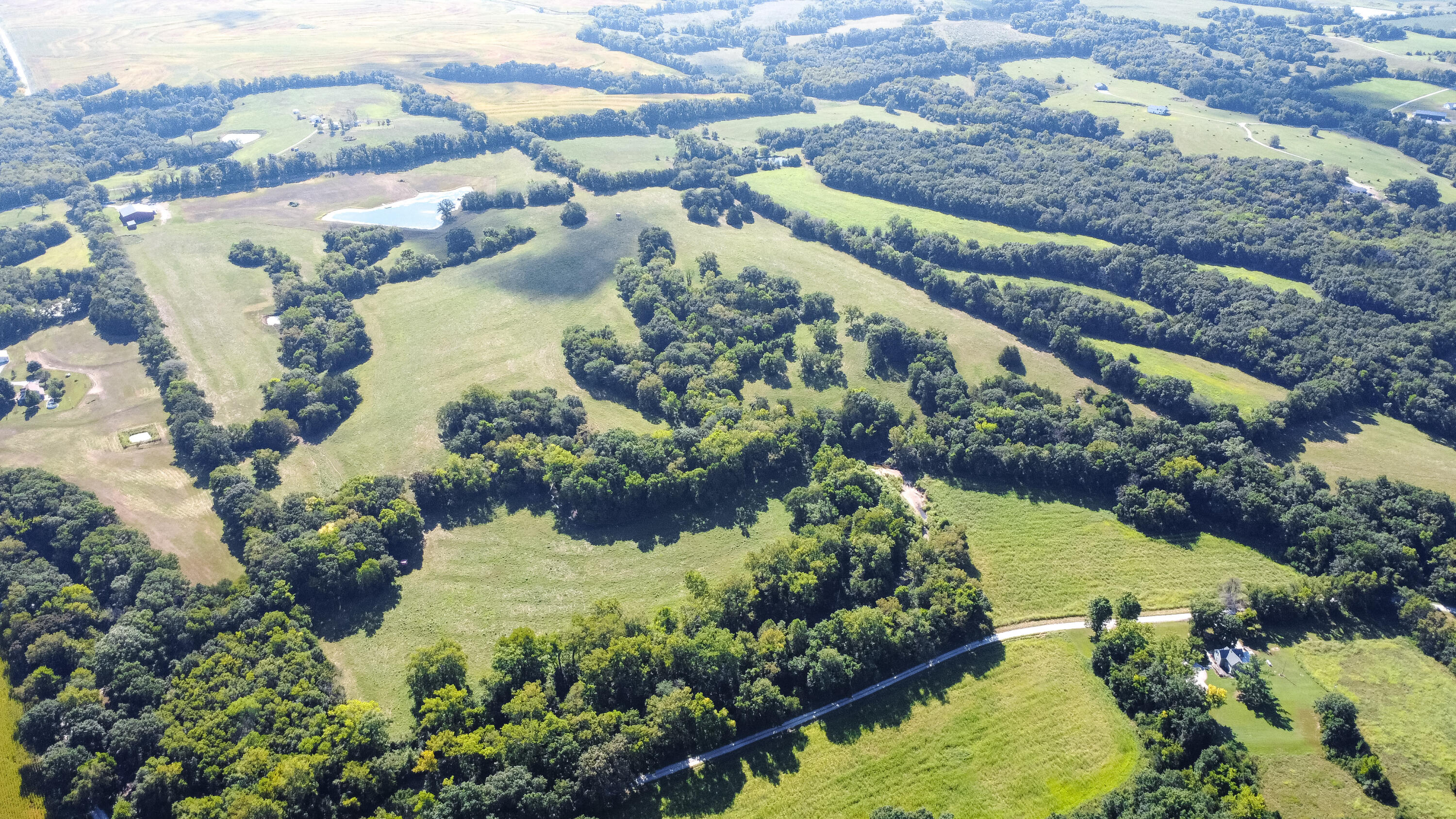 9950 N Herman Nichols Property Photo 43