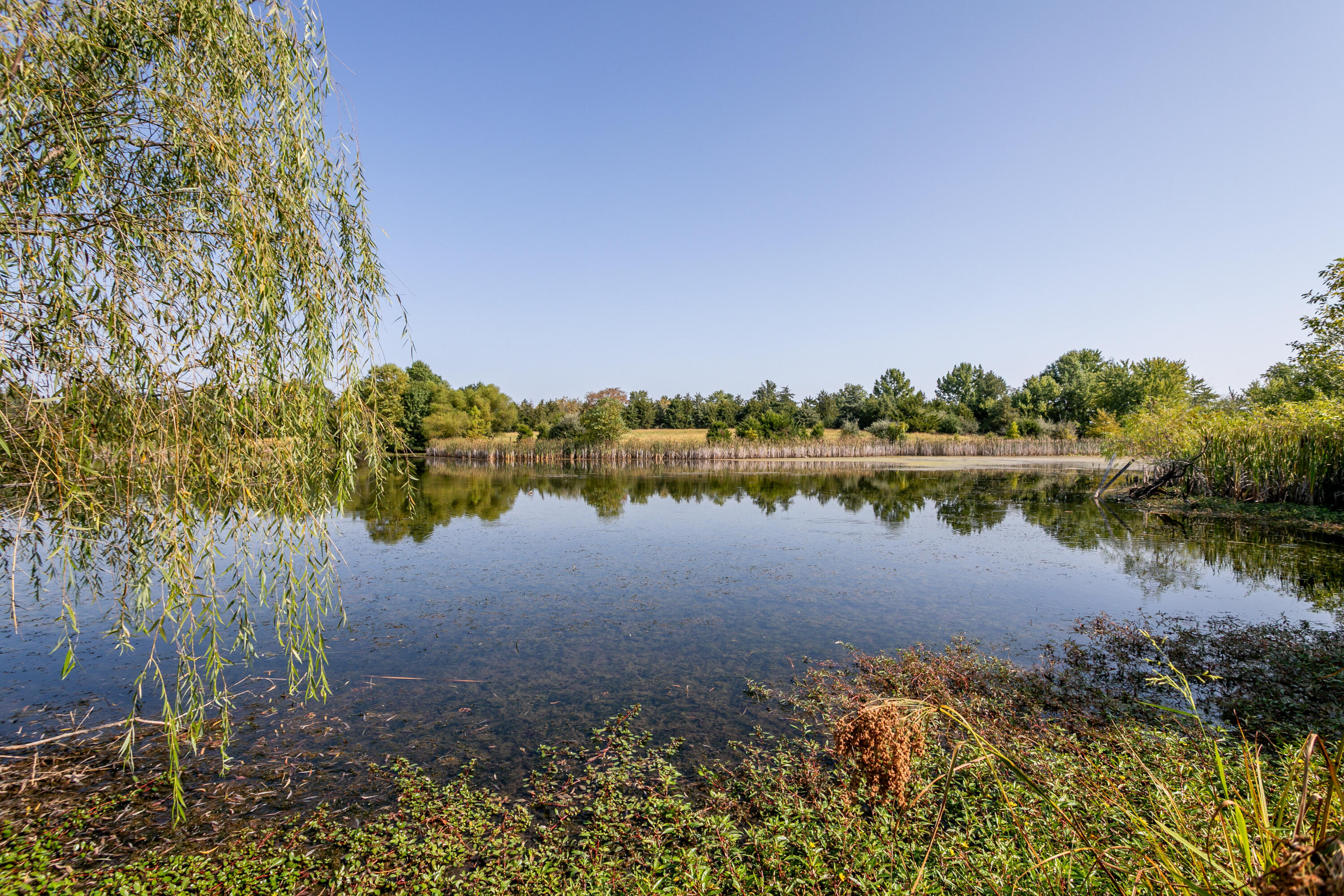 10673 Audrain Rd 973 Property Photo 42