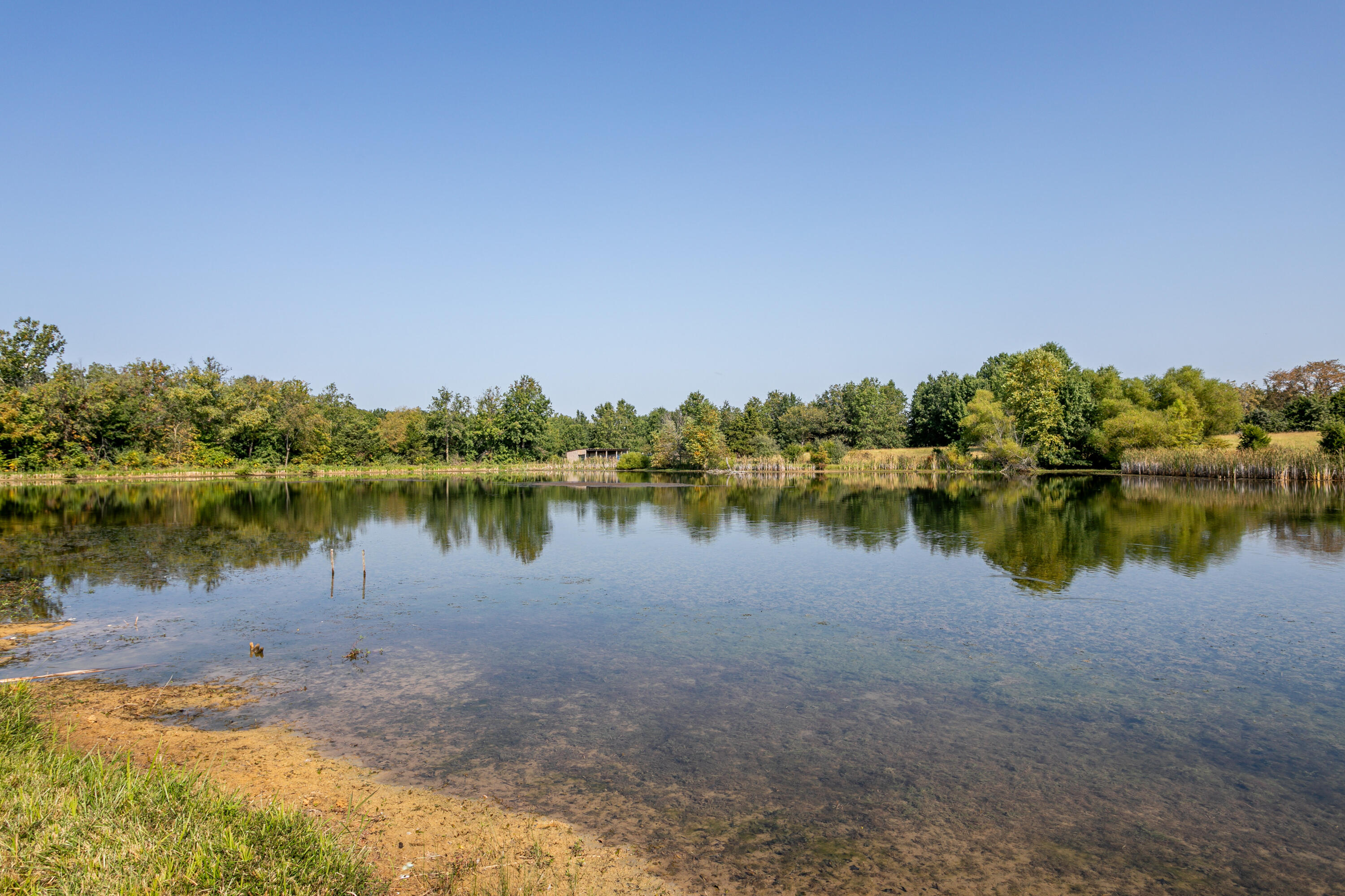 10673 Audrain Rd 973 Property Photo 43