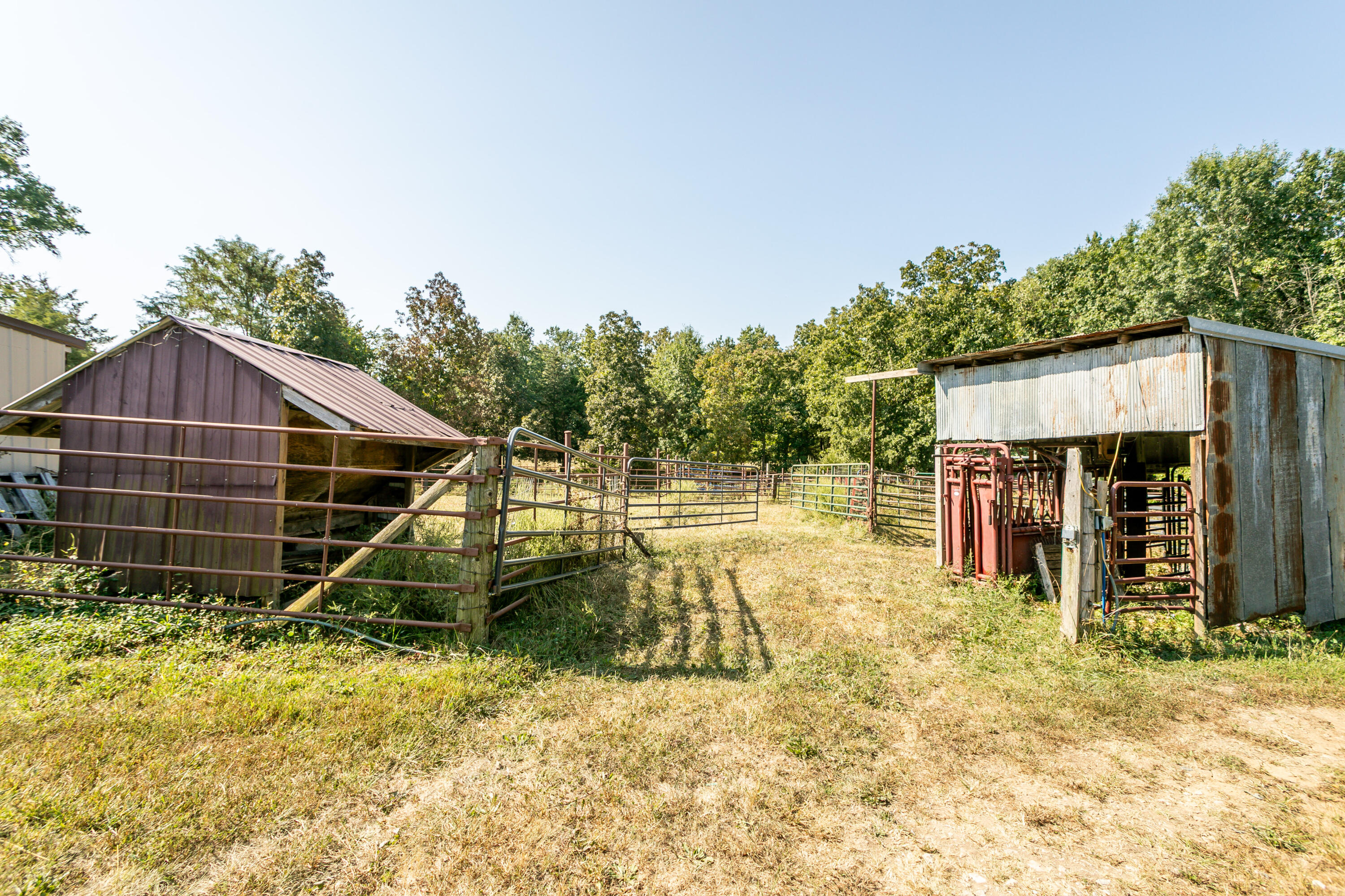 10673 Audrain Rd 973 Property Photo 51
